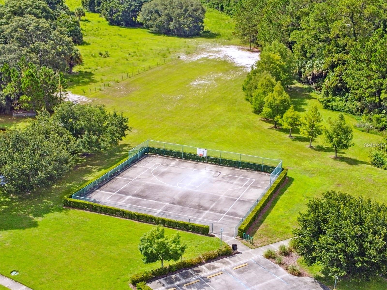2015 Corner School Drive Orlando FL 32820 O6408229 image42