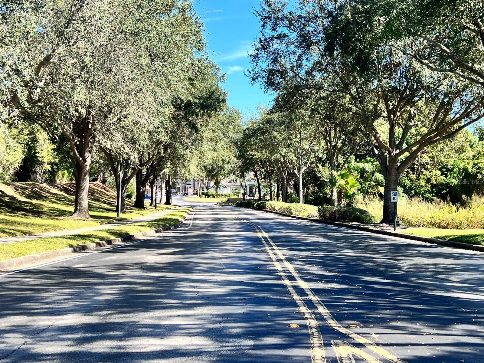 2015 Erving Circle #207 Ocoee FL 34761 S5145850 image5