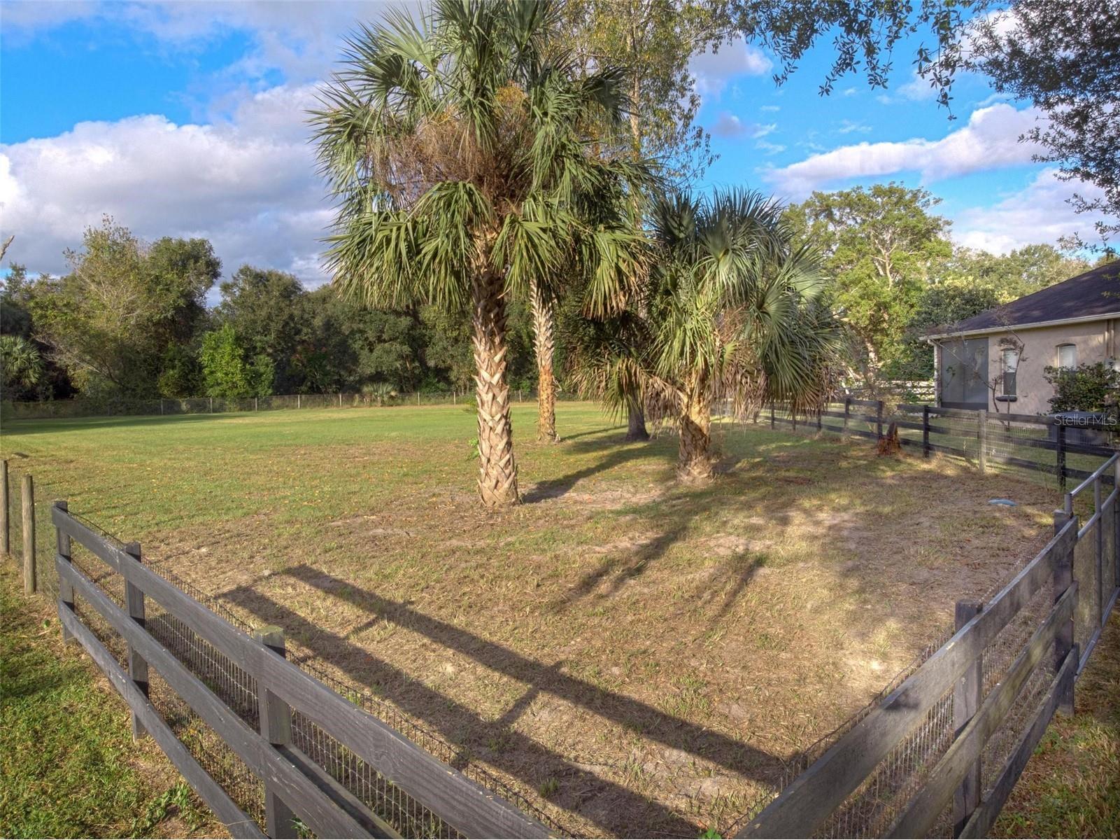 2015 Hawk Haven Trail Deland FL 32720 A4690474 image46