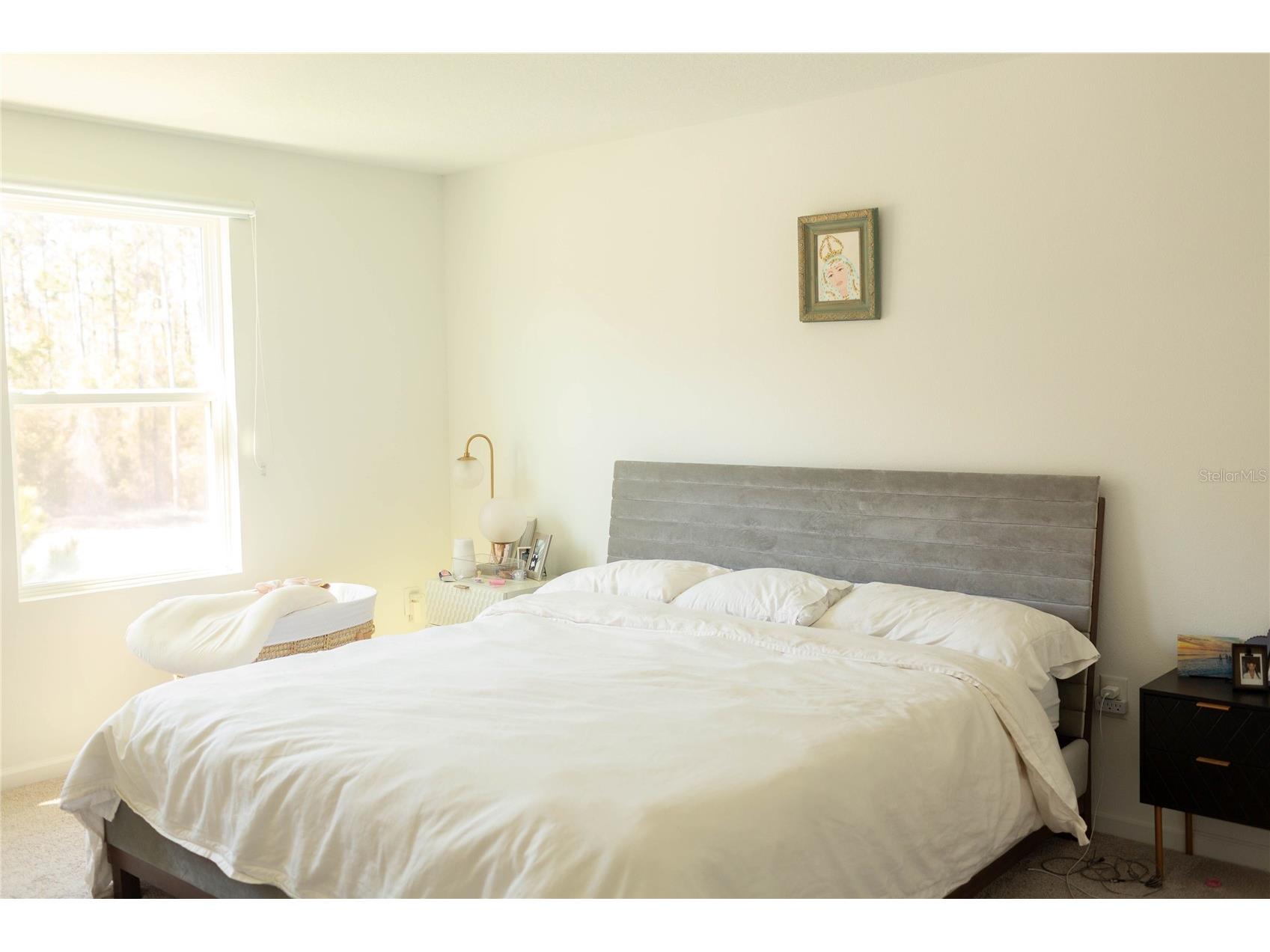 2015 Hemingway Circle Groveland FL 34736 O6392347 image9