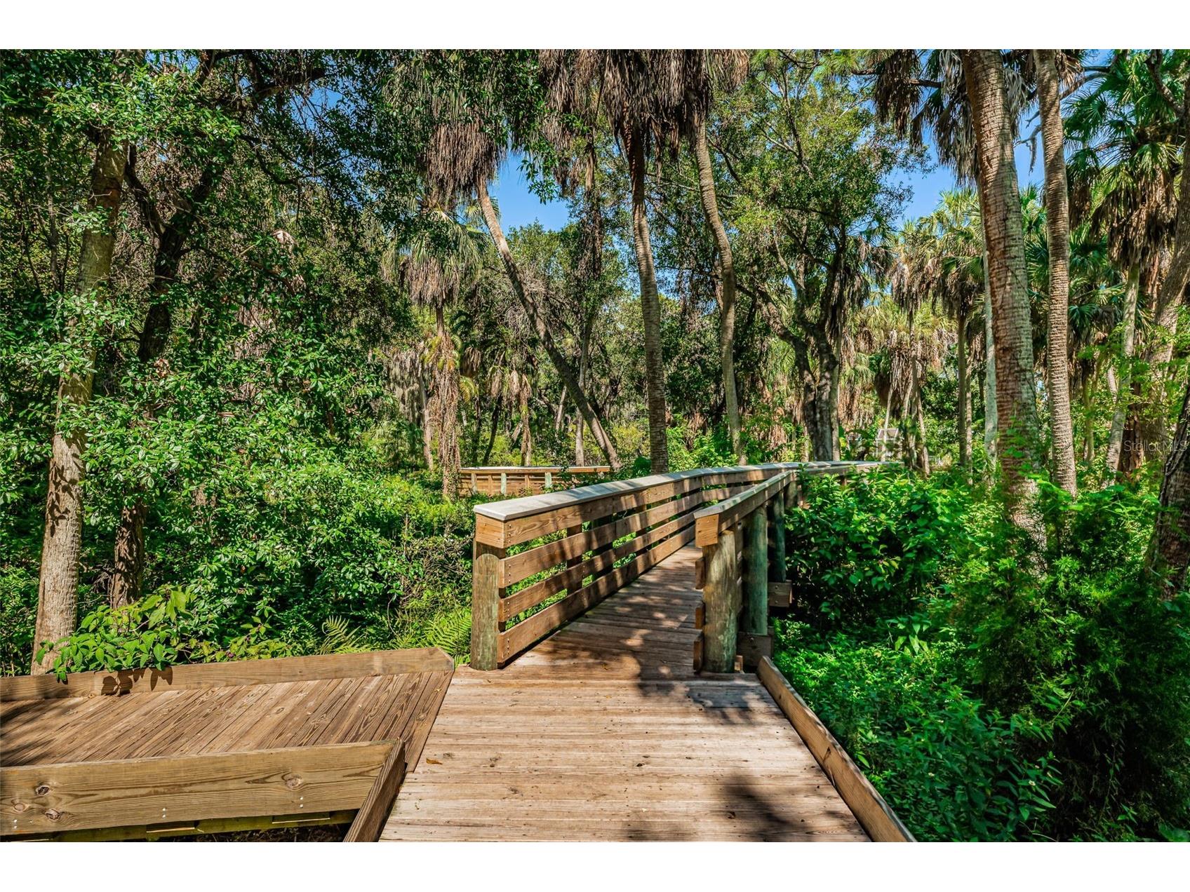 2015 Park Street N Saint Petersburg FL 33710 TB8467413 image38