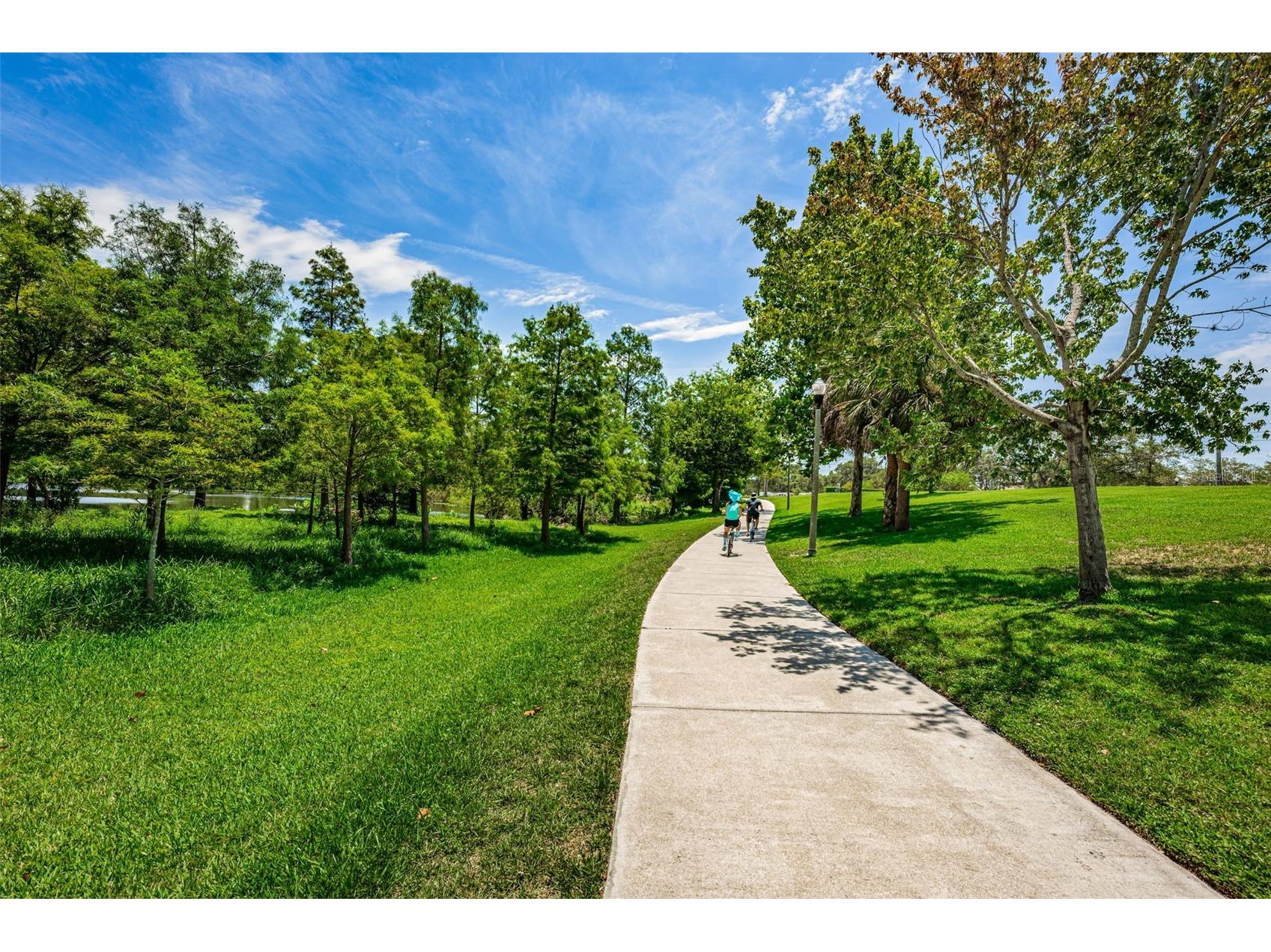 2015 Park Street N Saint Petersburg FL 33710 TB8467413 image40