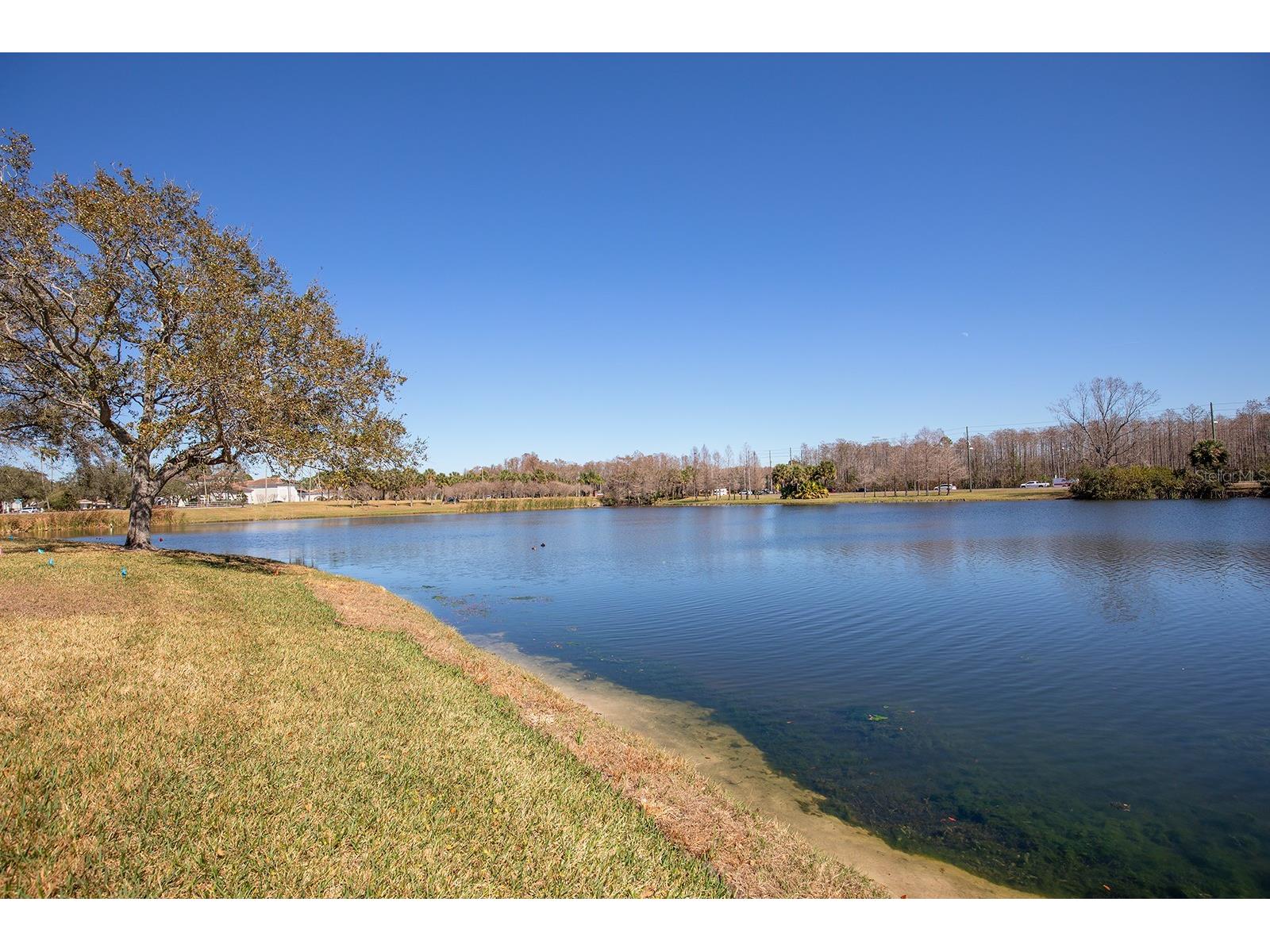 2015 Reston Road #2208 Orlando FL 32837 O6389108 image20