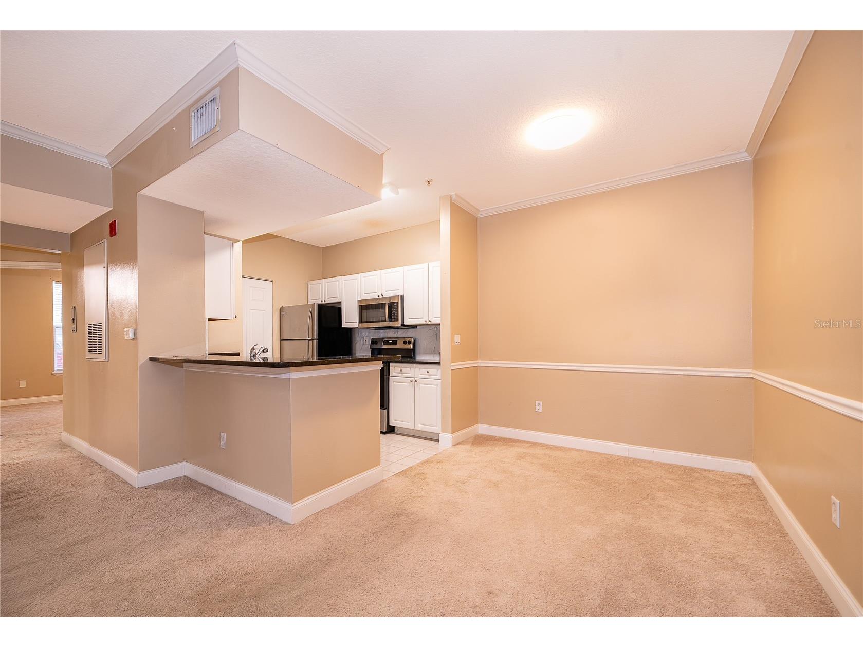 2015 Reston Road #2211 Orlando FL 32837 G5102052 image10