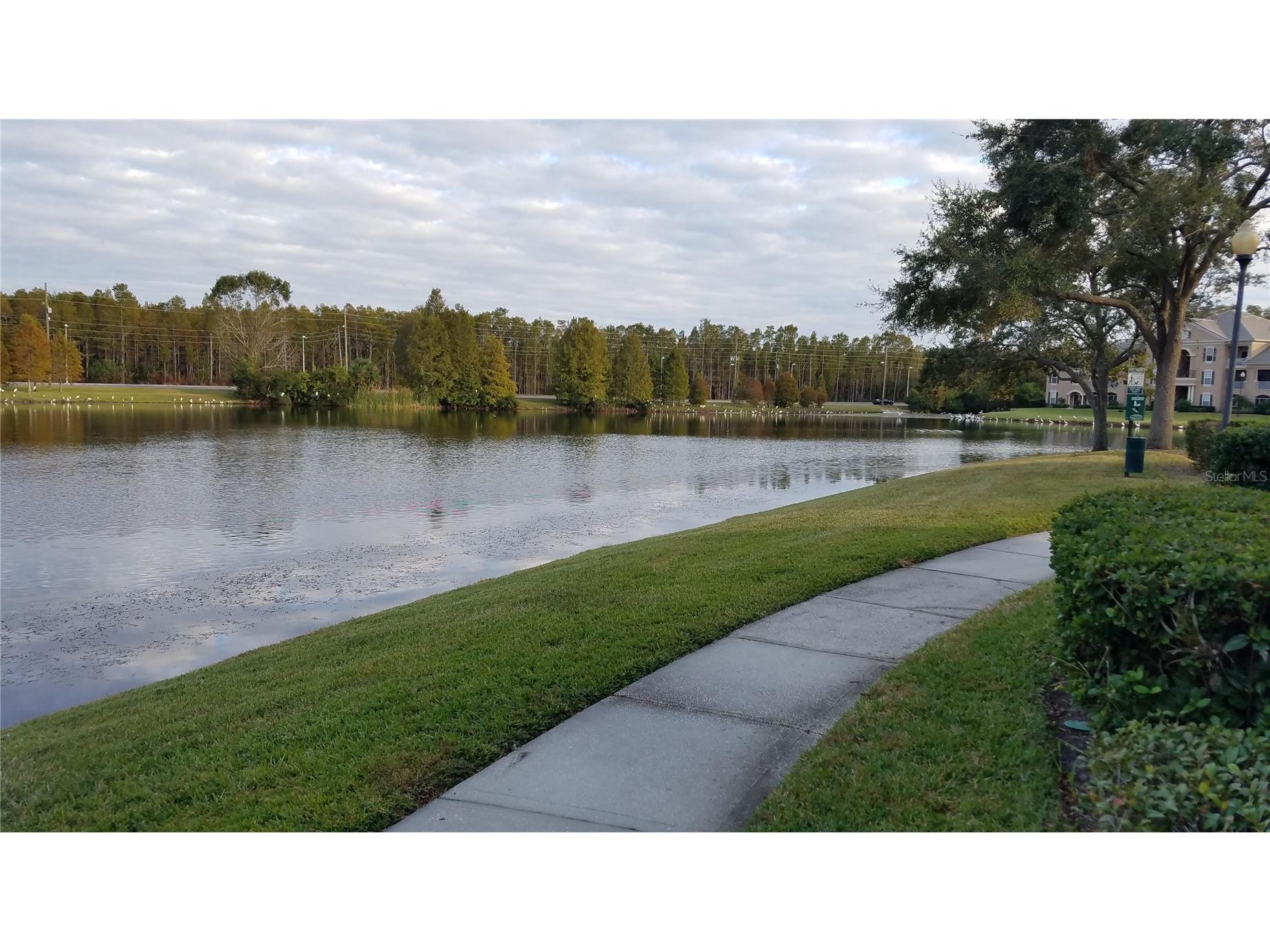 2015 Reston Road #2211 Orlando FL 32837 G5102052 image24