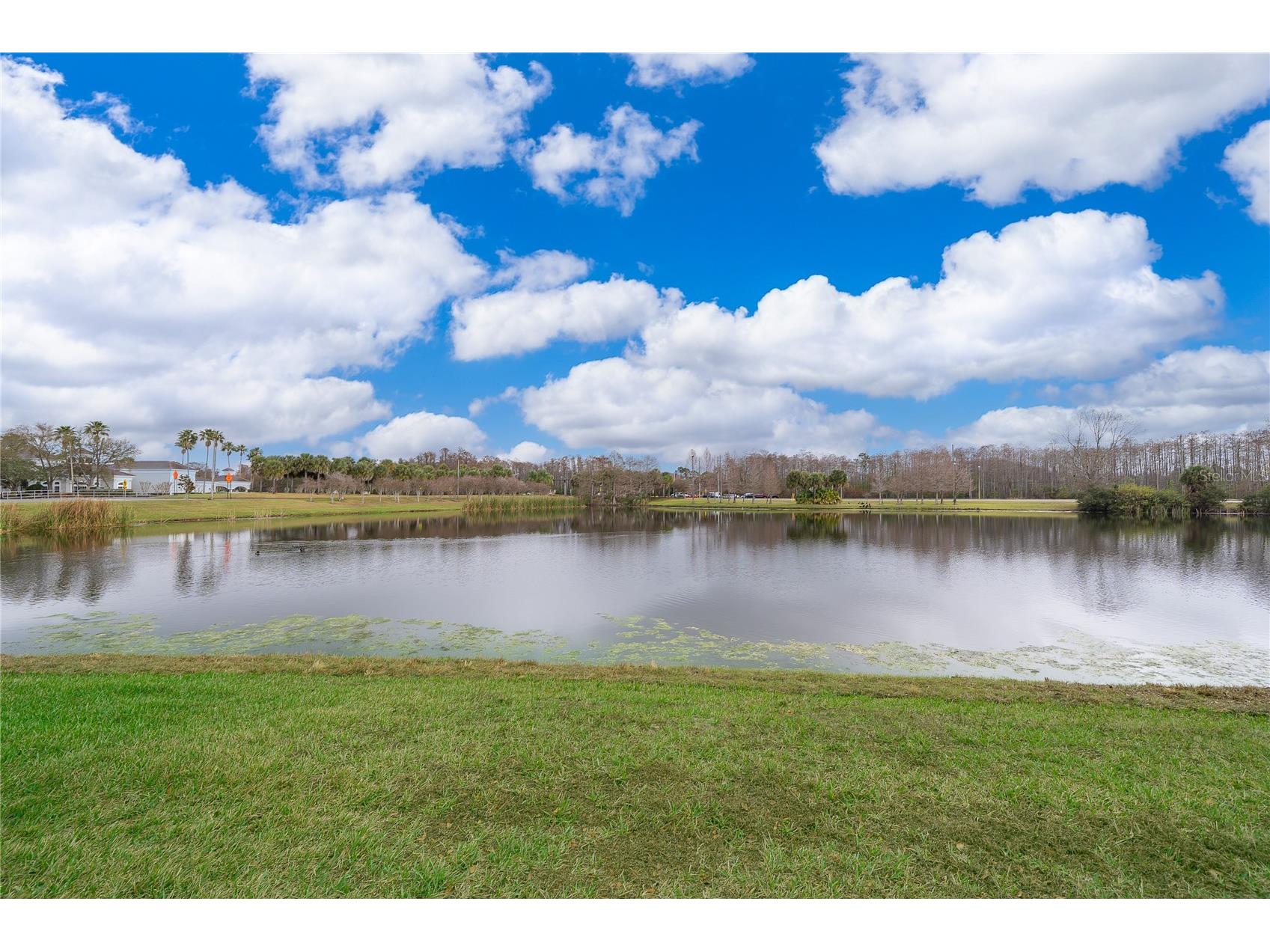 2015 Reston Road #2211 Orlando FL 32837 G5102052 image25