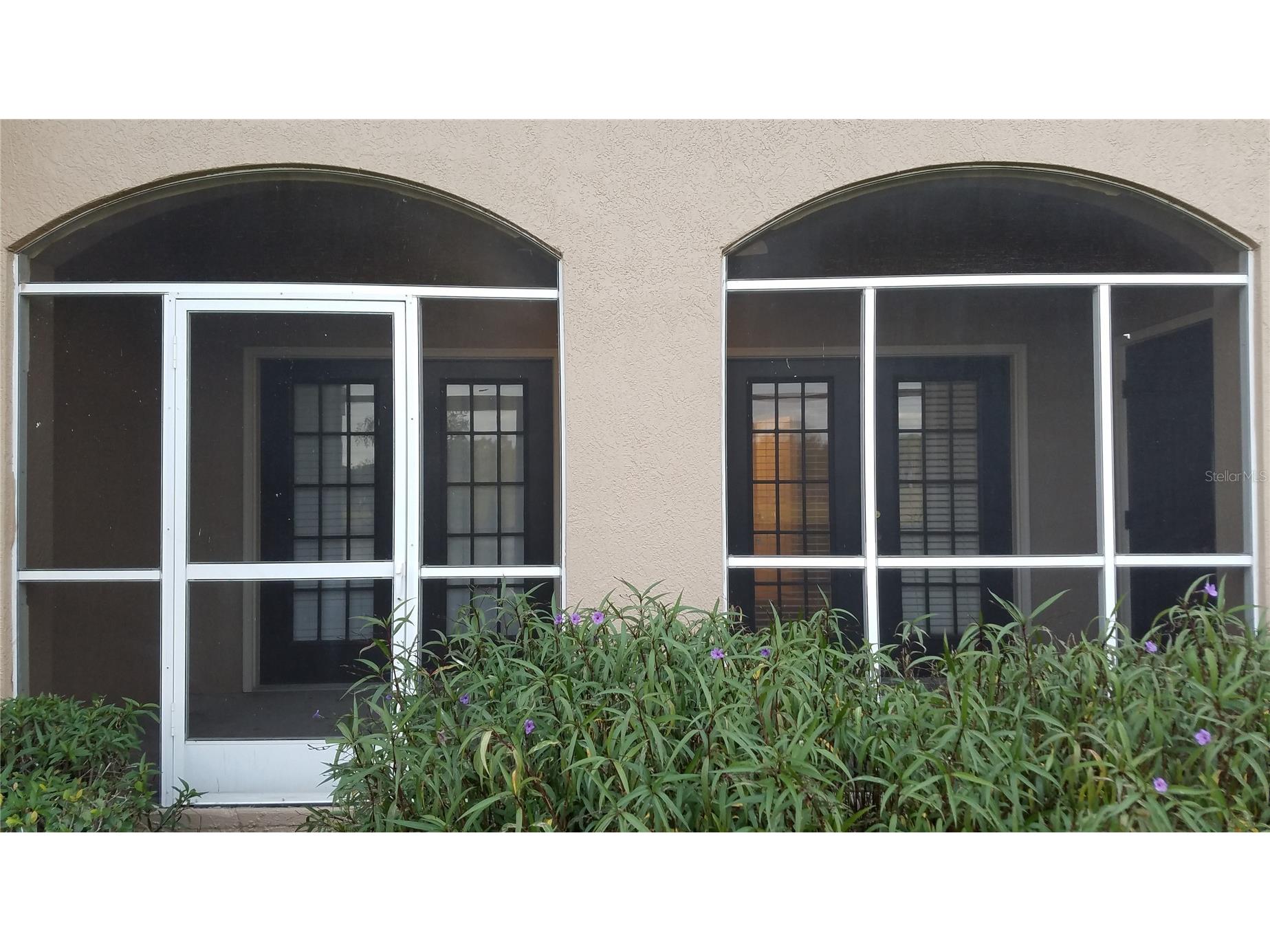 2015 Reston Road #2211 Orlando FL 32837 G5102052 image4