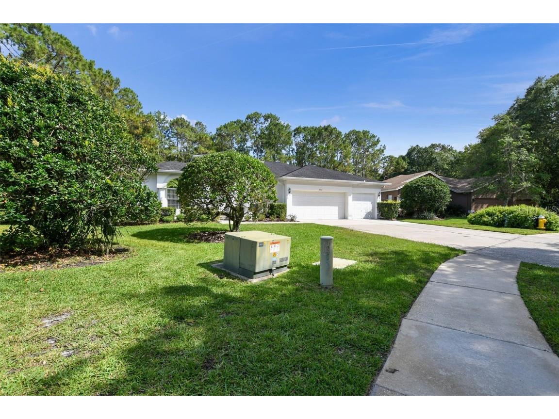 2015 Warwick Drive Oldsmar FL 34677 T3447576 image1