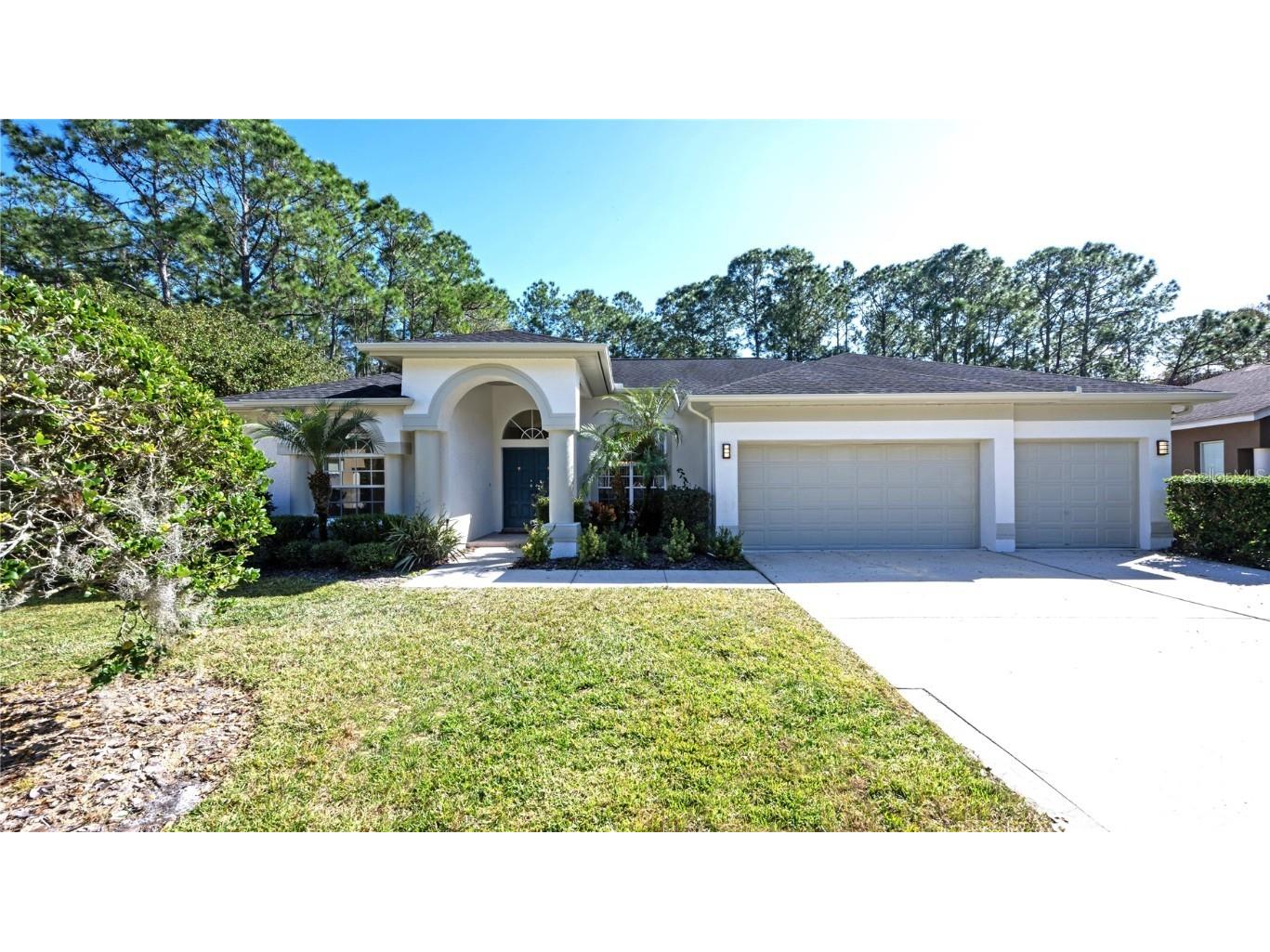 2015 Warwick Drive Oldsmar FL 34677 T3499572 image1