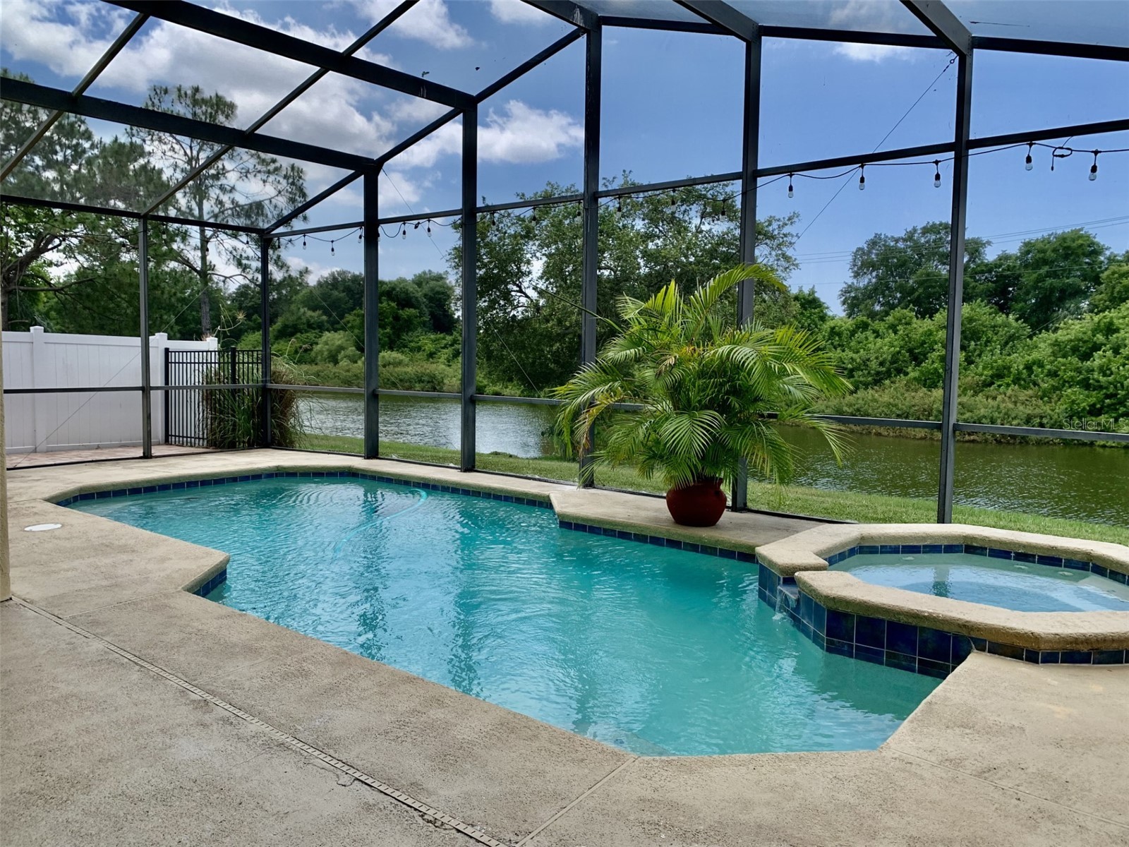 2015 Wrangler Drive Brandon FL 33511 - STERLING RANCH RETENTION POND TB8511066 image5