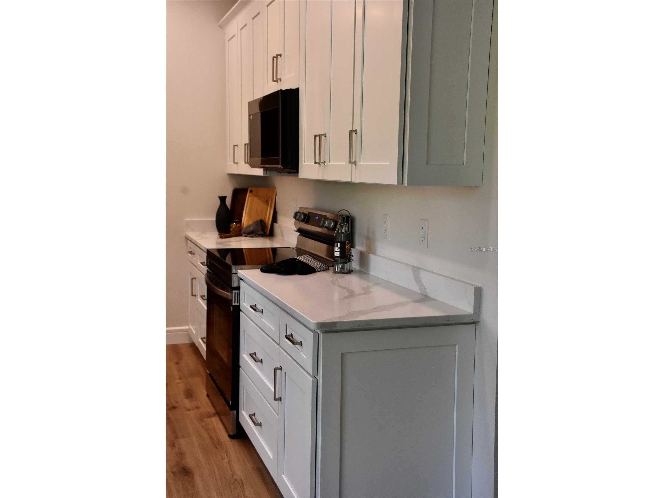 20150 Willow Circle Mount Dora FL 32757 G5112411 image10