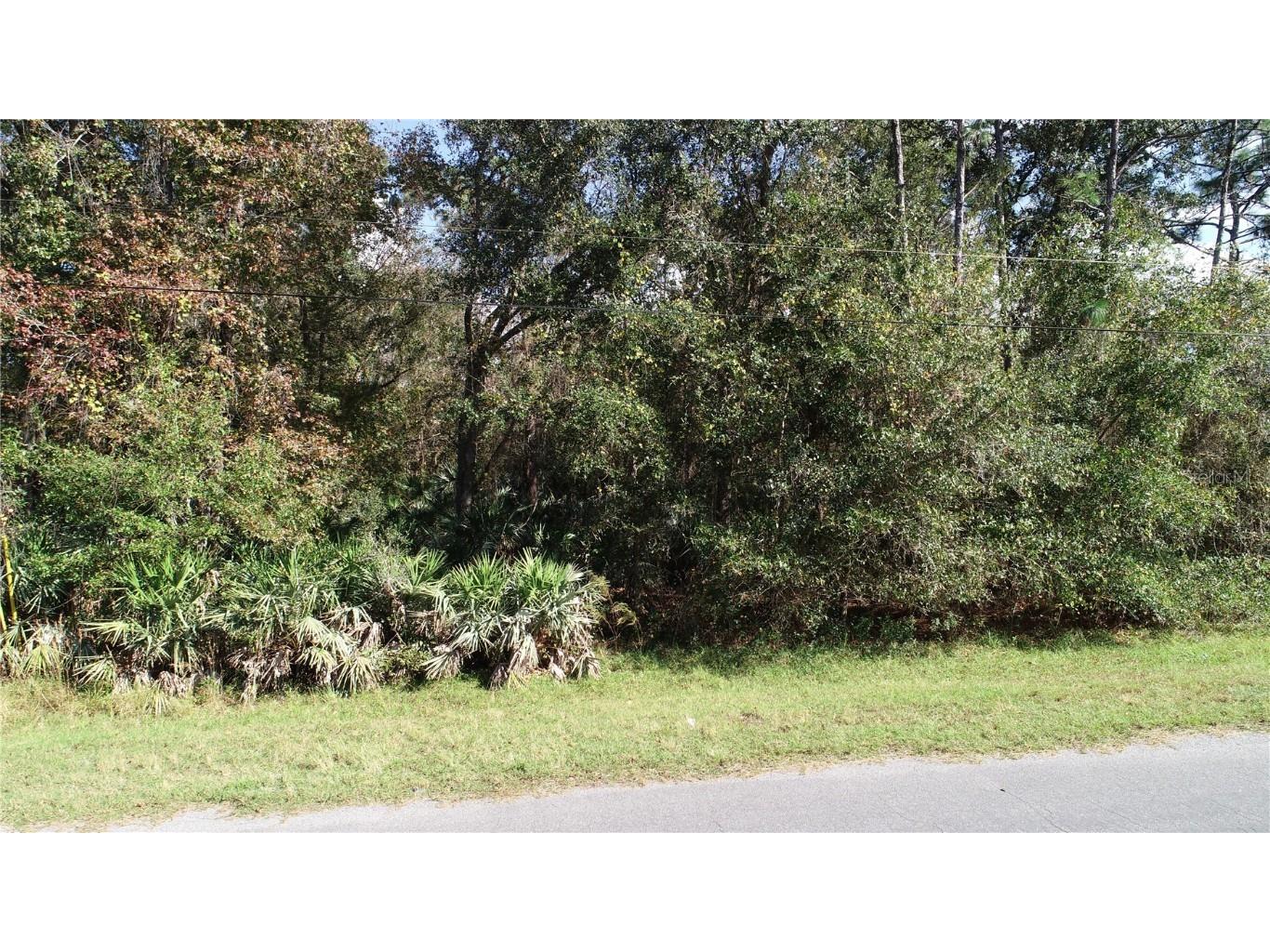 20154 Sheldon St Orlando FL 32833 O6169470 image1