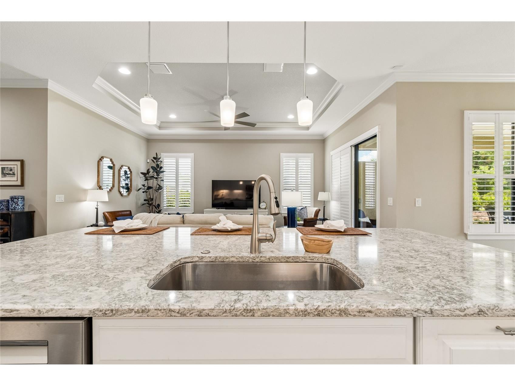 20158 Umbria Hill Drive Tampa FL 33647 TB8506323 image49