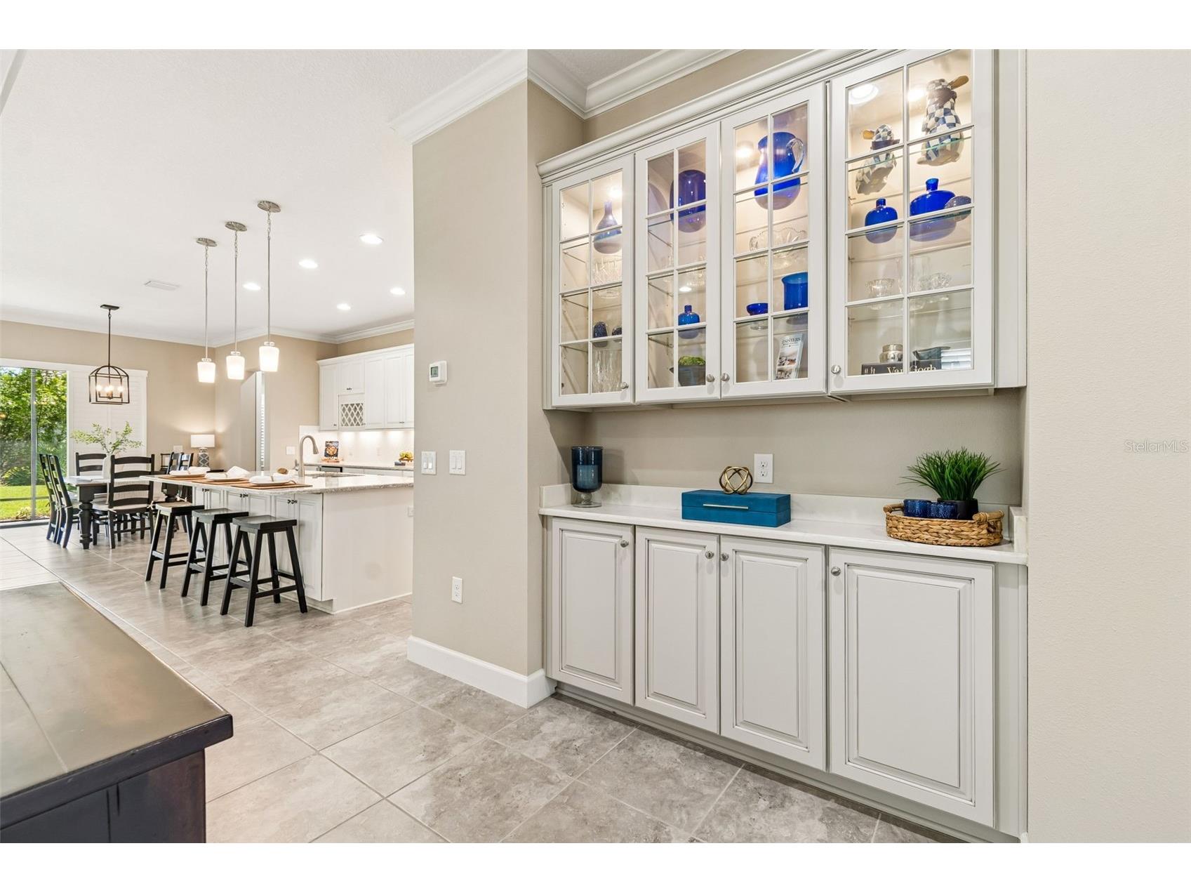 20158 Umbria Hill Drive Tampa FL 33647 TB8506323 image5