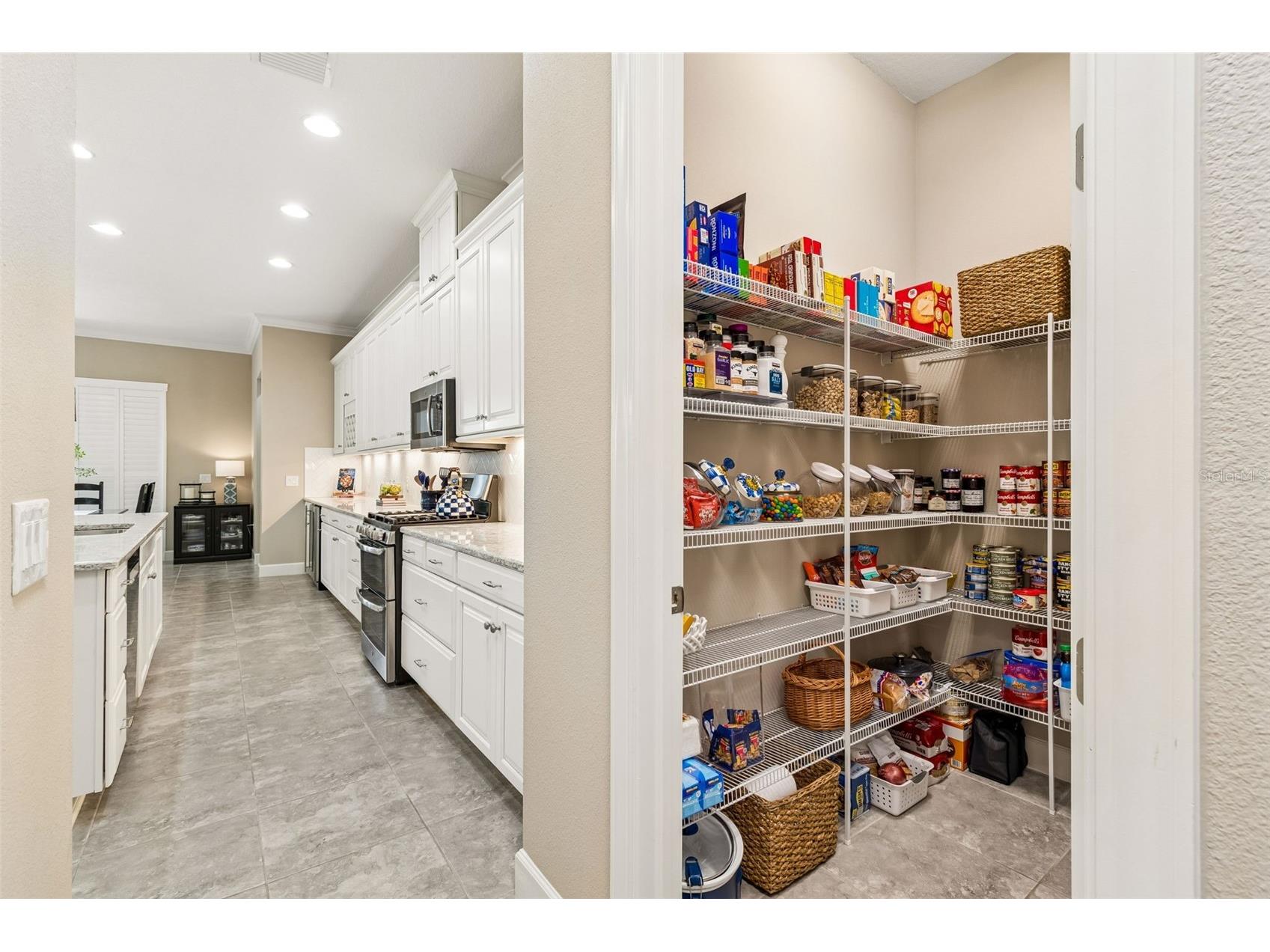 20158 Umbria Hill Drive Tampa FL 33647 TB8506323 image64