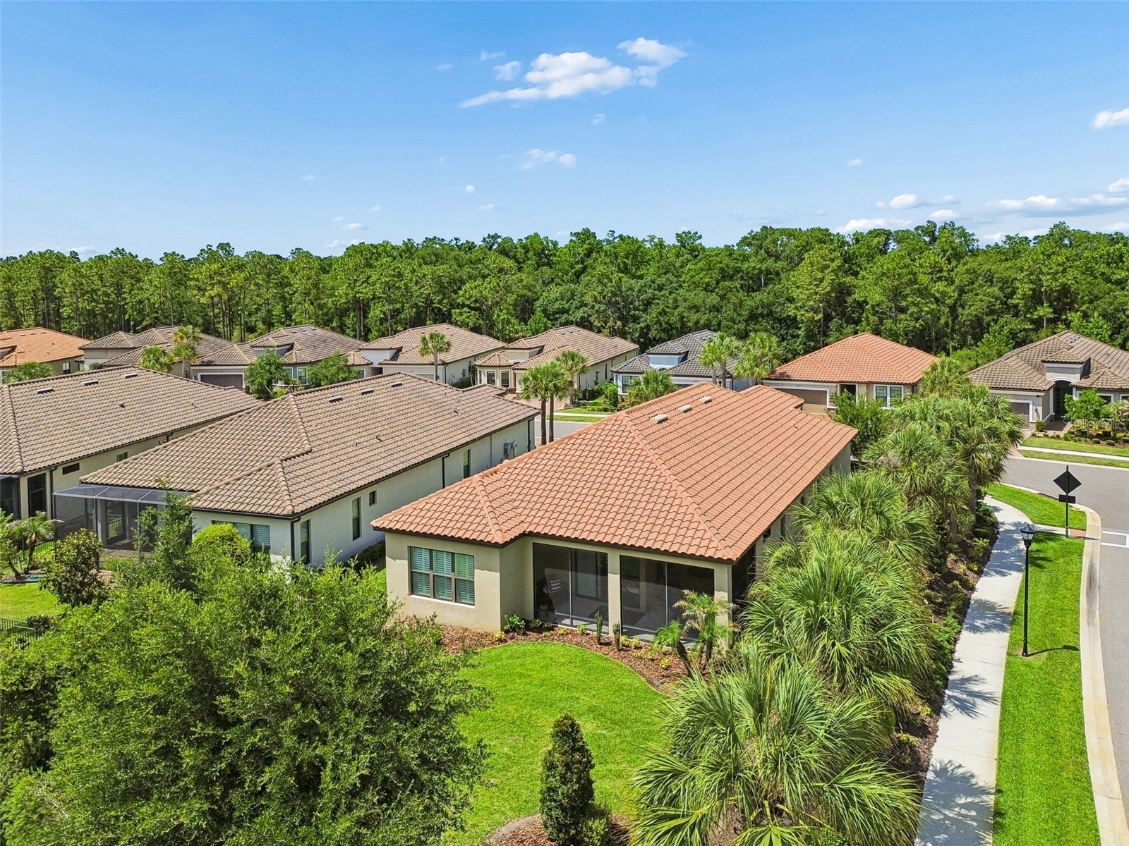 20158 Umbria Hill Drive Tampa FL 33647 TB8506323 image76