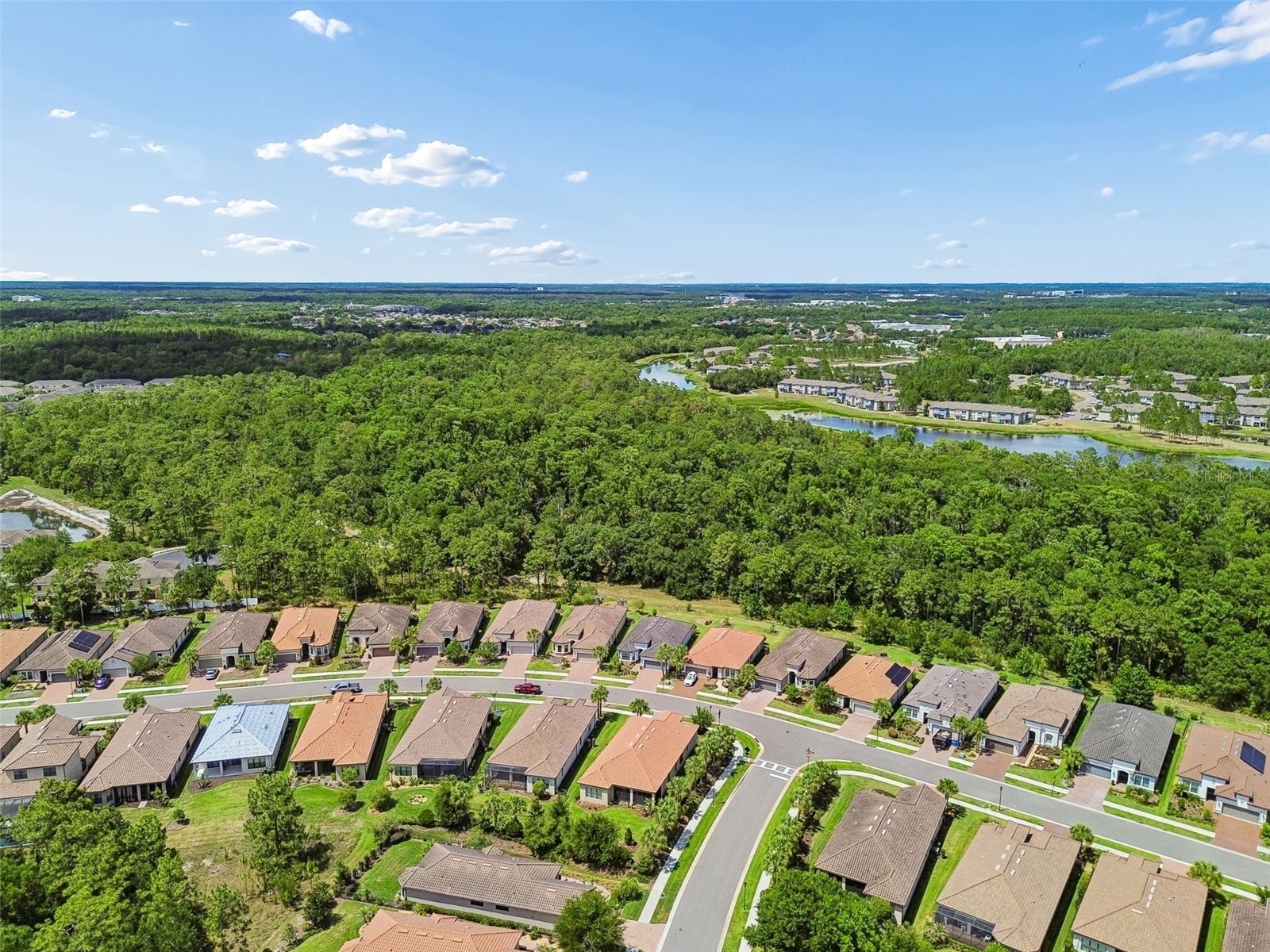 20158 Umbria Hill Drive Tampa FL 33647 TB8506323 image80