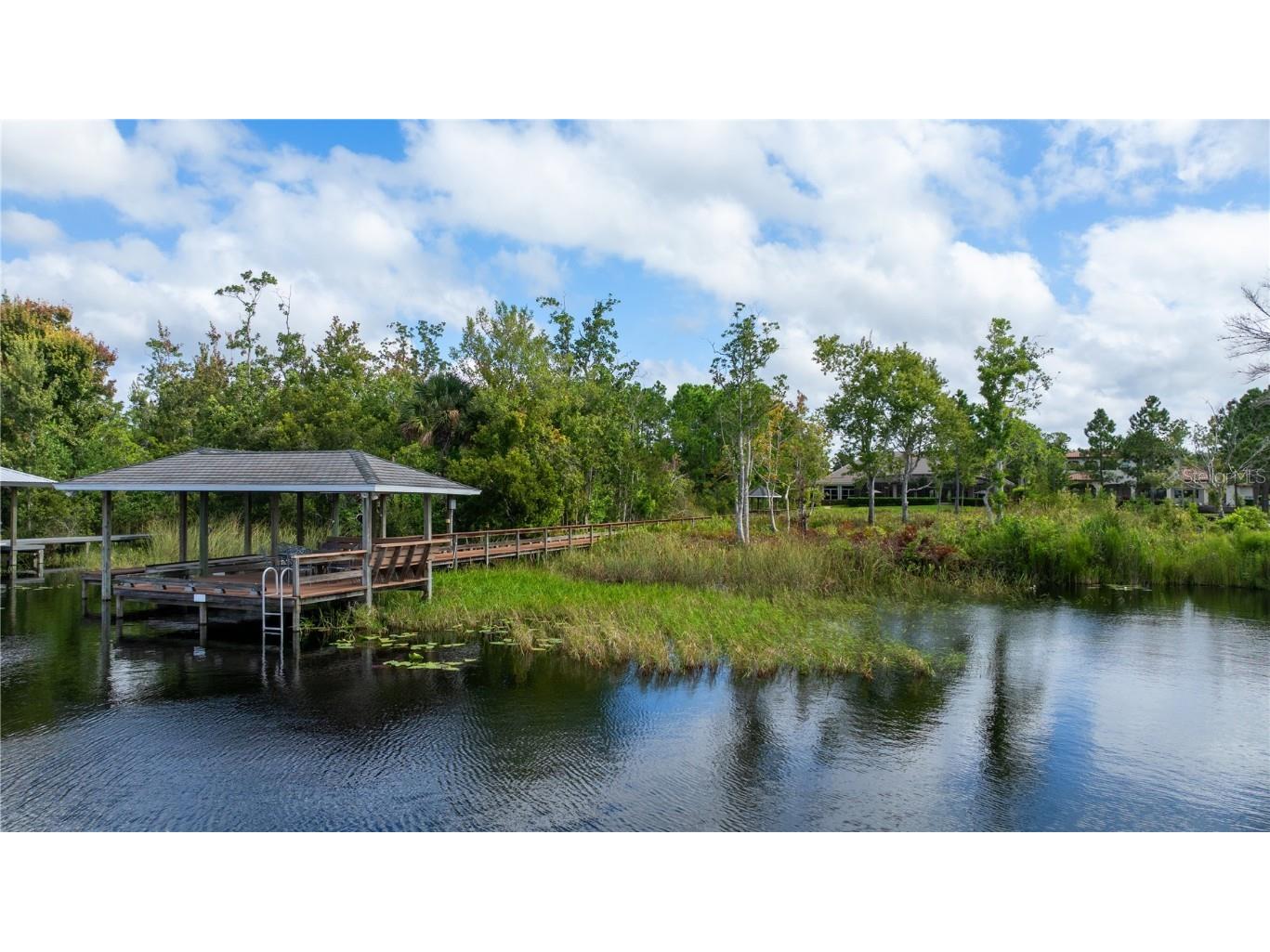 2016 Castelli Boulevard Mount Dora FL 32757 - LOCH LEVEN O6334023 image41