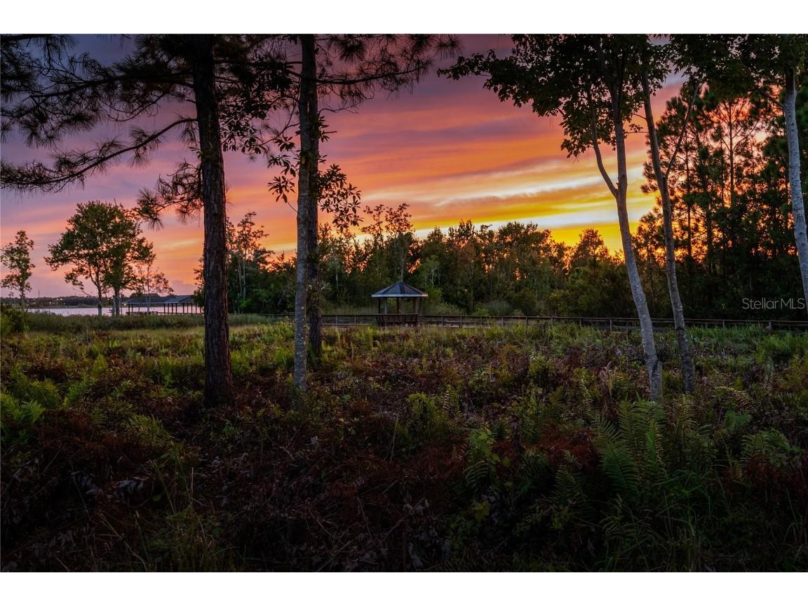 2016 Castelli Boulevard Mount Dora FL 32757 - LOCH LEVEN O6334023 image42