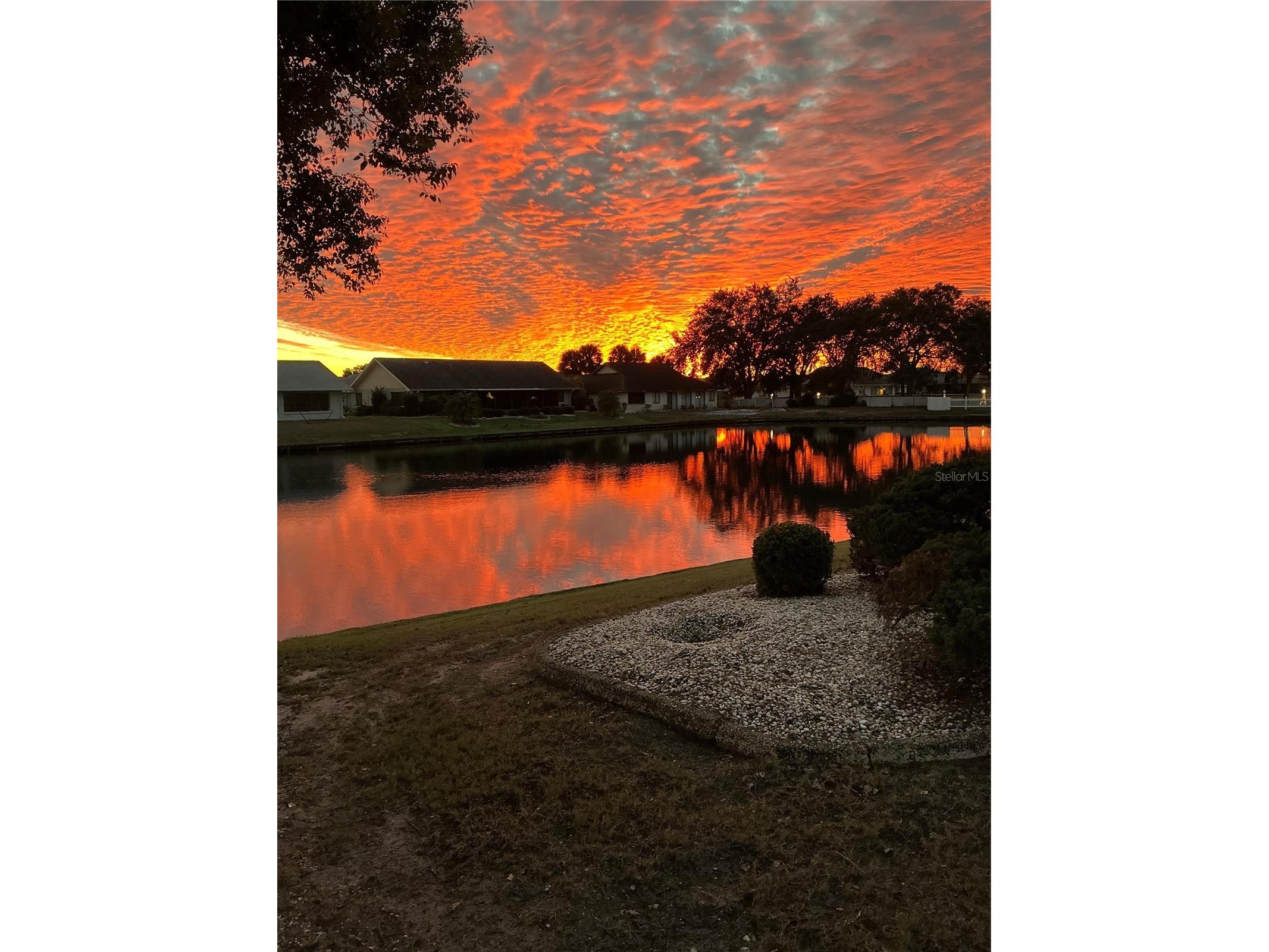 2016 E View Drive Sun City Center FL 33573 - LAKE CALOOSA TB8448874 image1
