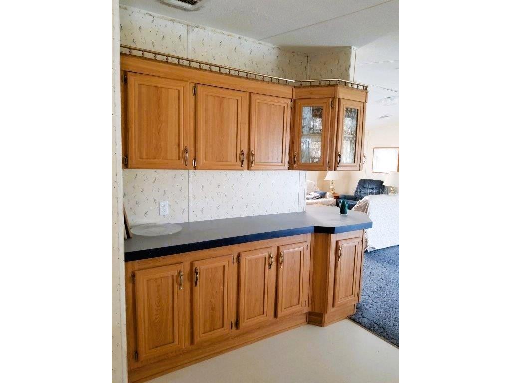 2016 Lake Linda Circle Lutz FL 33558 W7883473 image18