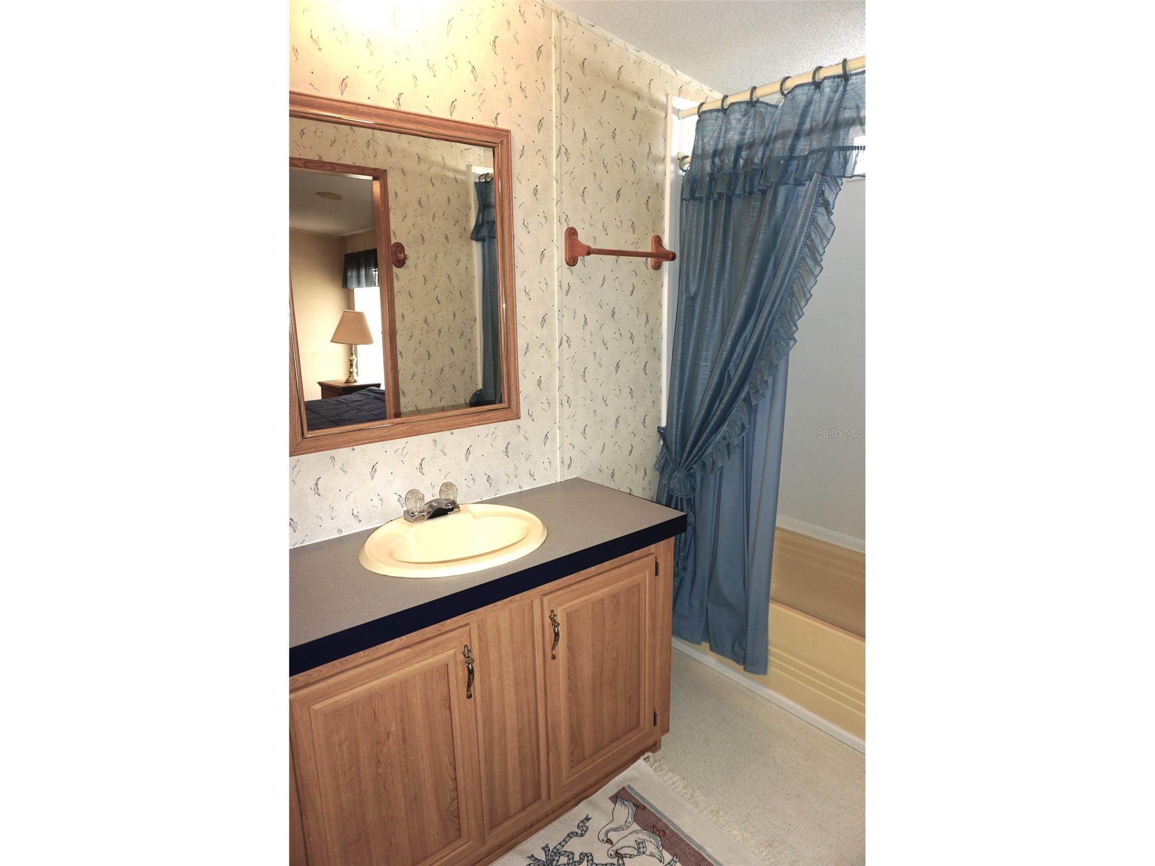 2016 Lake Linda Circle Lutz FL 33558 W7883473 image35