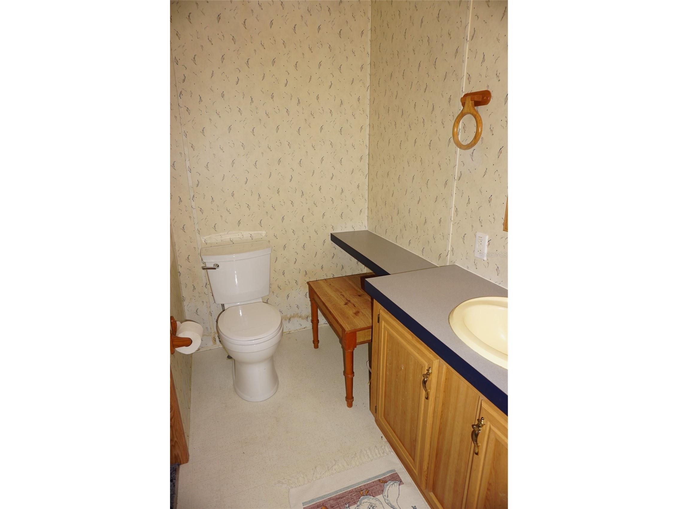 2016 Lake Linda Circle Lutz FL 33558 W7883473 image36
