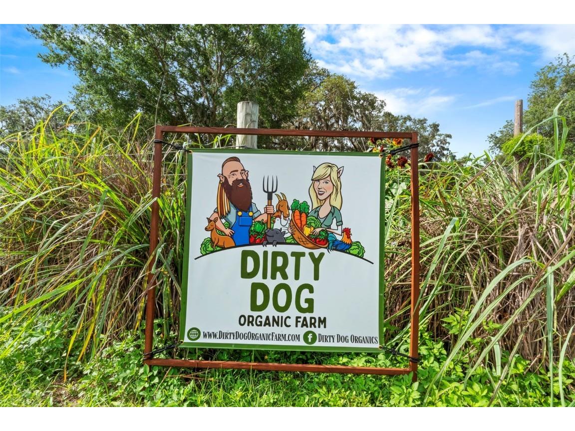 2016 Lewis Road Leesburg FL 34748 O6318769 image2