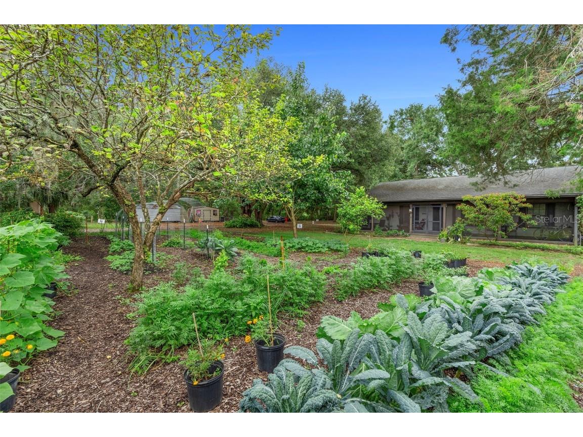 2016 Lewis Road Leesburg FL 34748 O6318769 image36