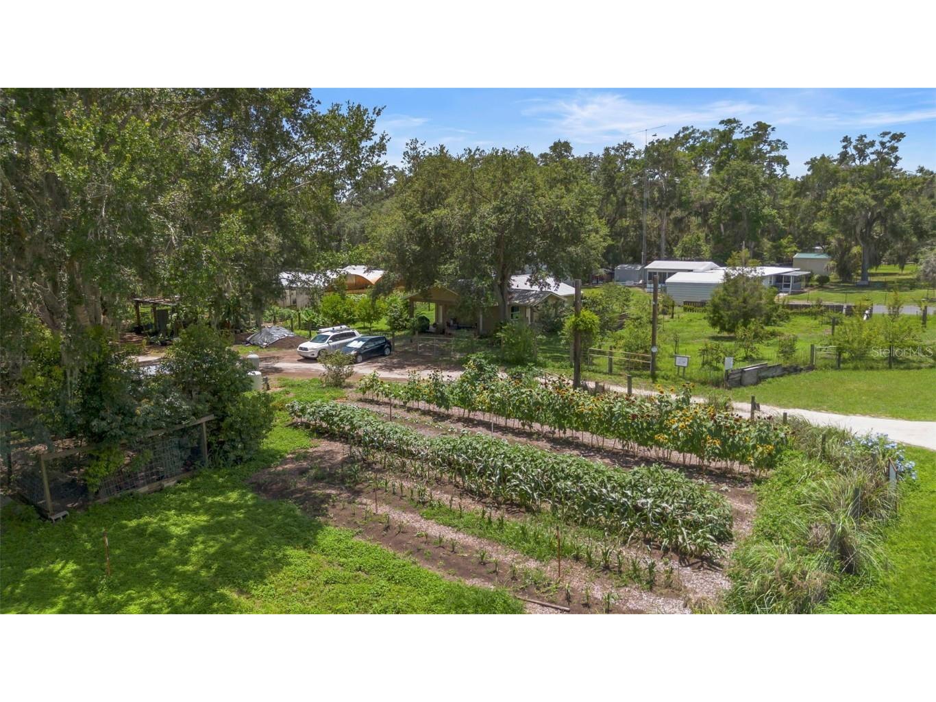 2016 Lewis Road Leesburg FL 34748 O6318769 image5