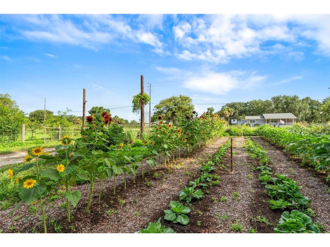 2016 Lewis Road Leesburg FL 34748 O6318769 image6