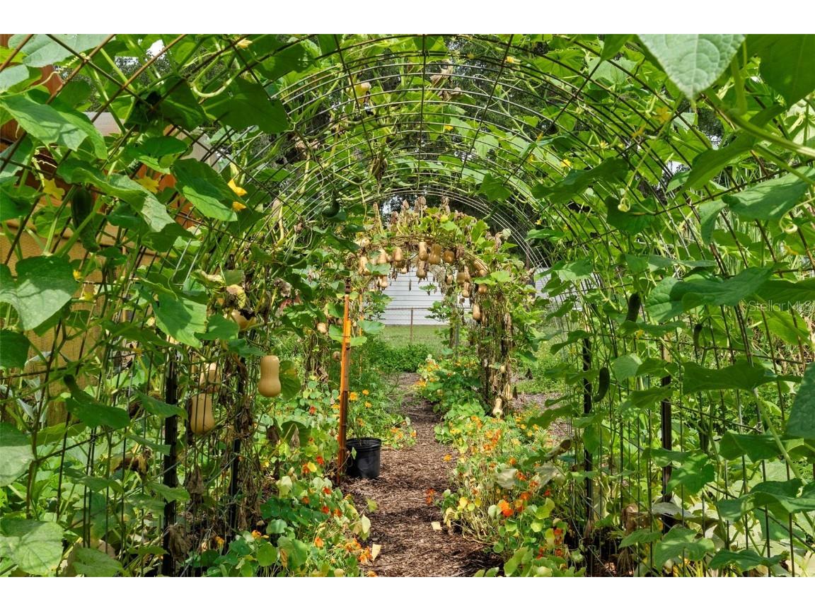 2016 Lewis Road Leesburg FL 34748 O6318769 image77