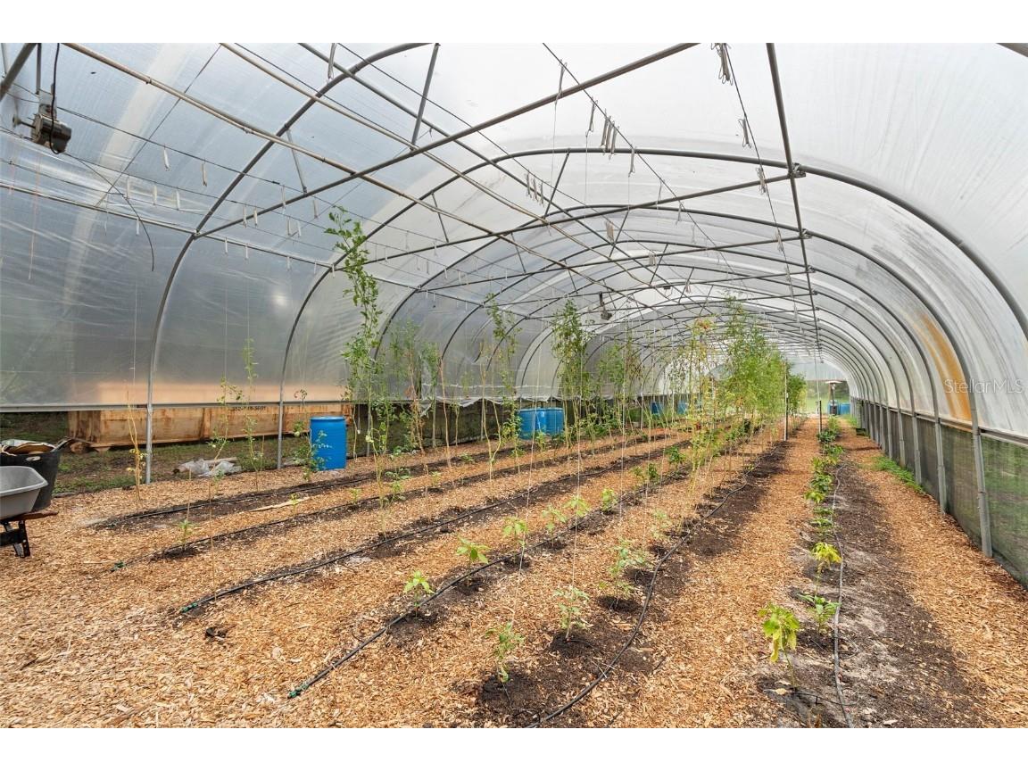 2016 Lewis Road Leesburg FL 34748 O6318769 image81