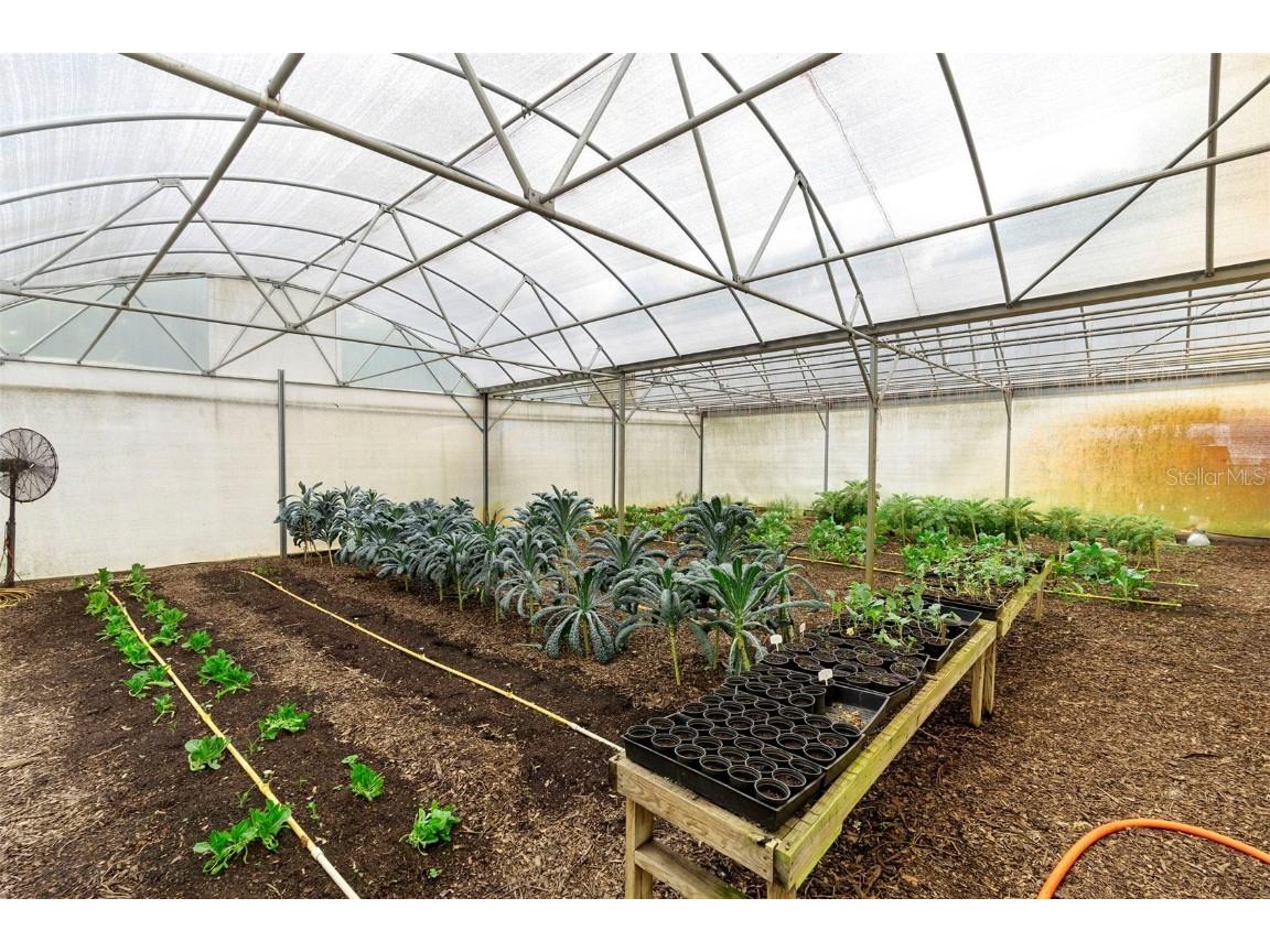 2016 Lewis Road Leesburg FL 34748 O6318769 image85