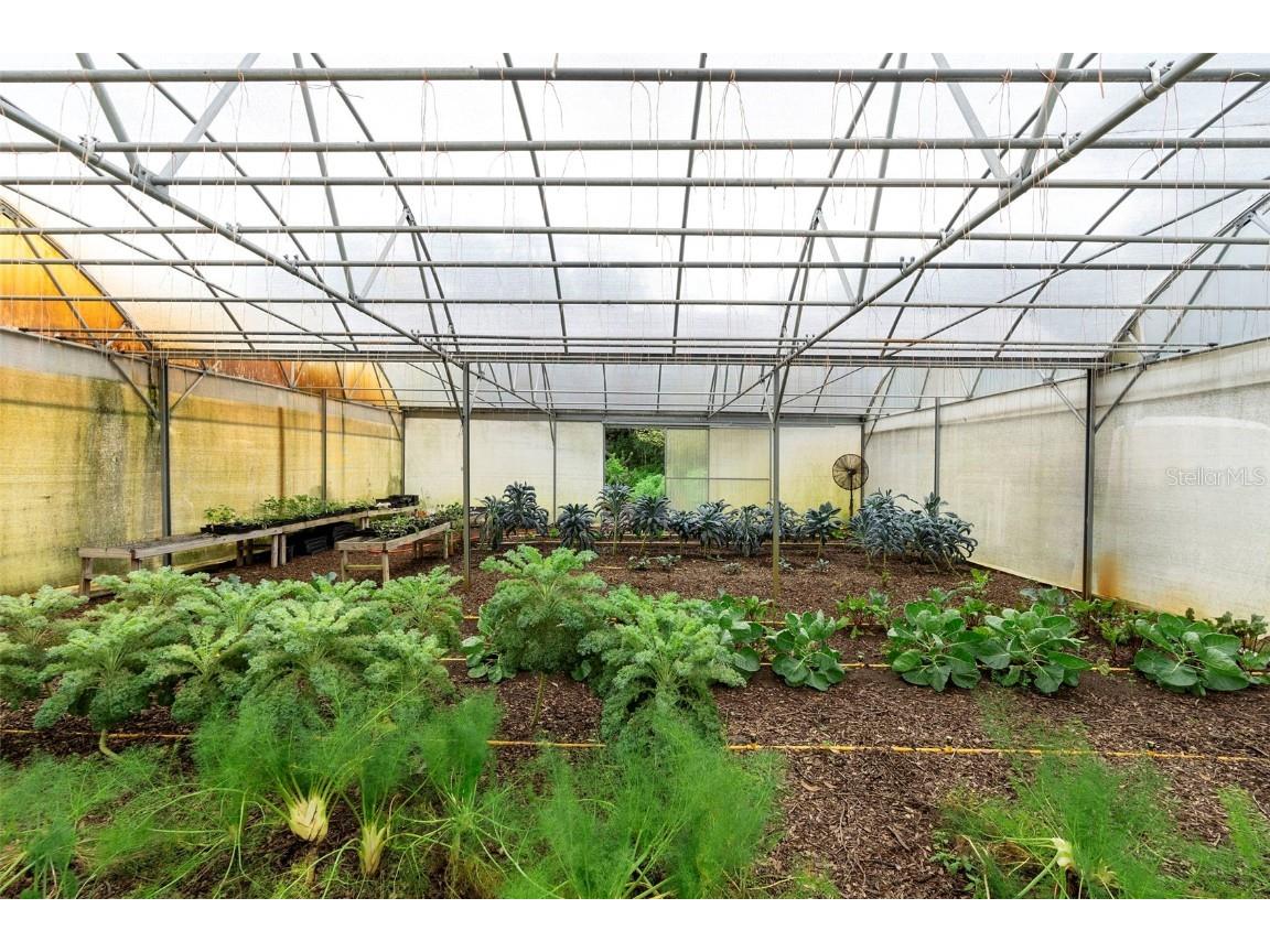 2016 Lewis Road Leesburg FL 34748 O6318769 image86