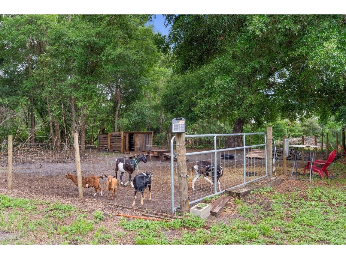 2016 Lewis Road Leesburg FL 34748 O6318769 image87