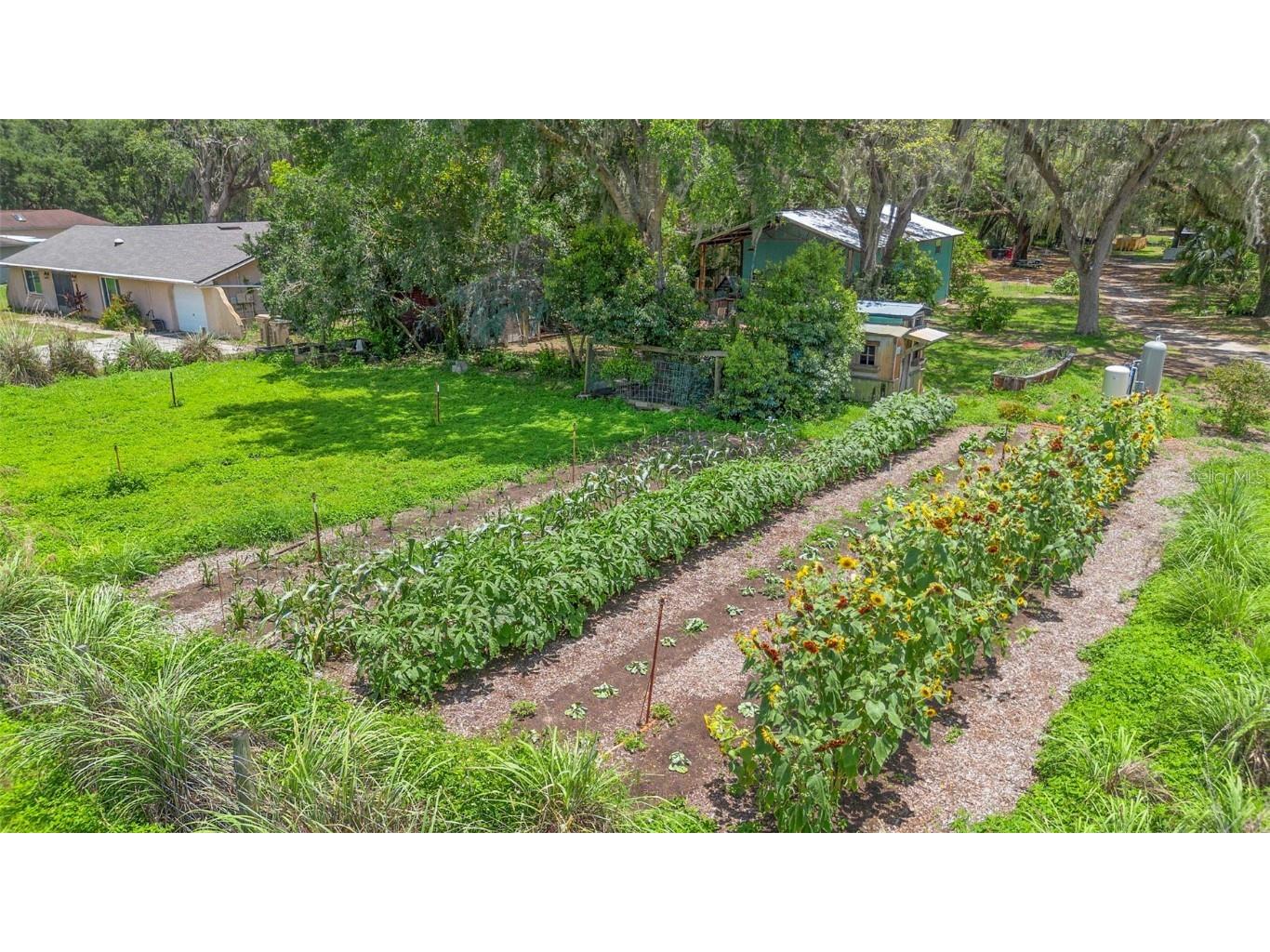 2016 Lewis Road Leesburg FL 34748 O6318769 image89