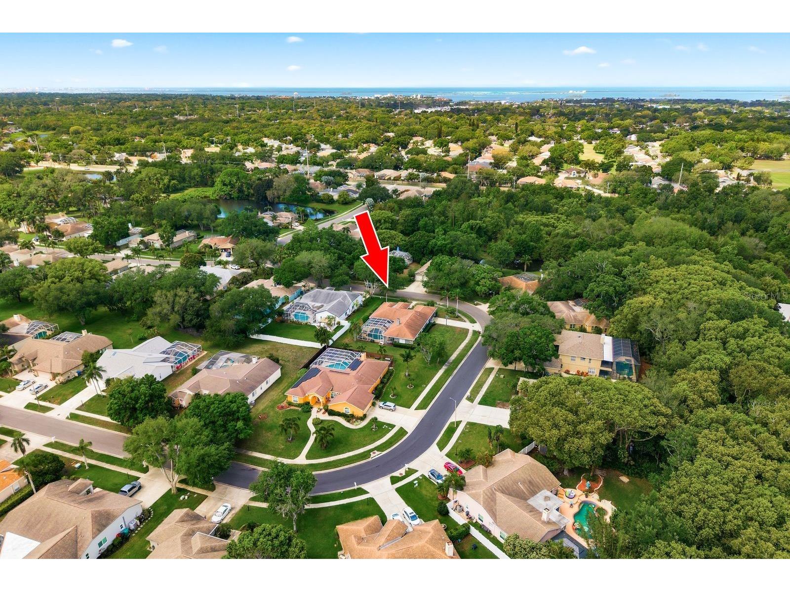 2016 Swan Lane Palm Harbor FL 34683 TB8493904 image2