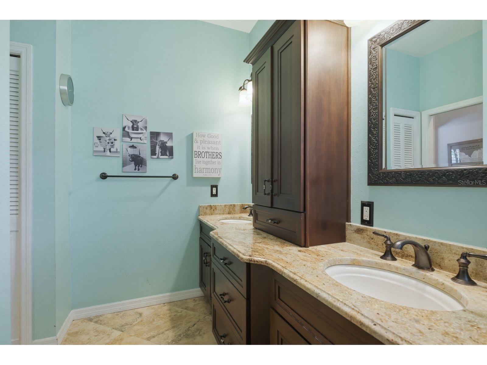 2016 Swan Lane Palm Harbor FL 34683 TB8493904 image33