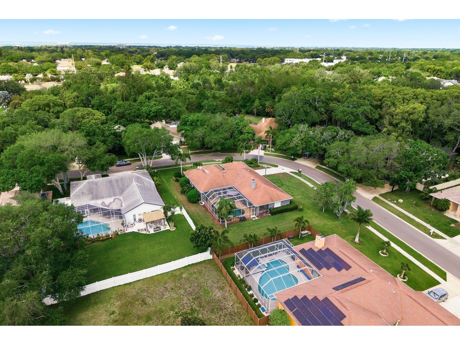 2016 Swan Lane Palm Harbor FL 34683 TB8493904 image59