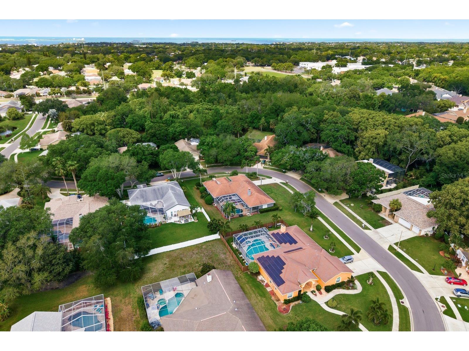 2016 Swan Lane Palm Harbor FL 34683 TB8493904 image60