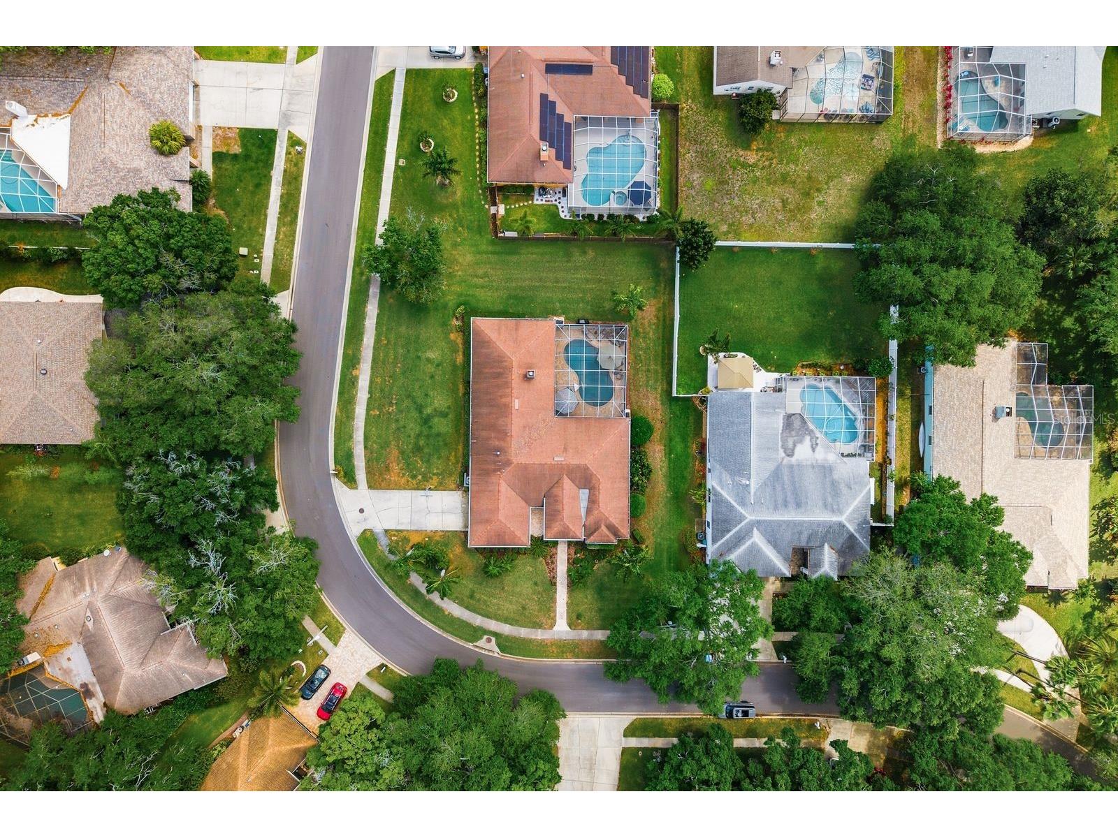 2016 Swan Lane Palm Harbor FL 34683 TB8493904 image61