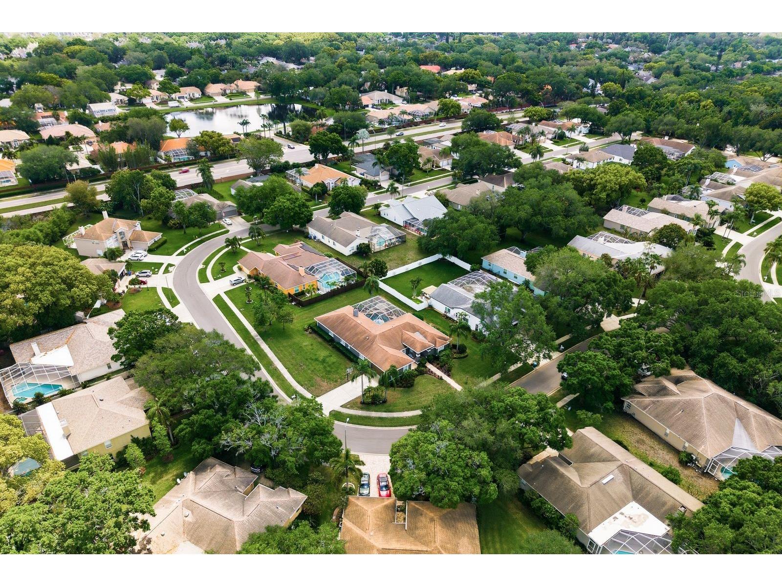 2016 Swan Lane Palm Harbor FL 34683 TB8493904 image63