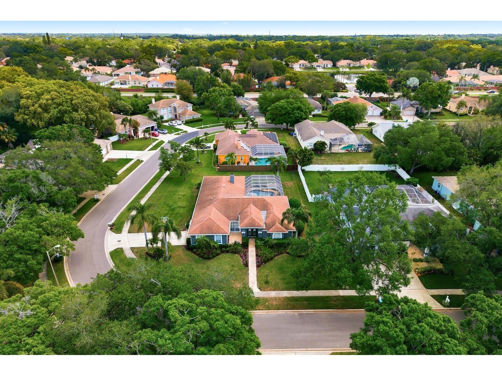 2016 Swan Lane Palm Harbor FL 34683 TB8493904 image64