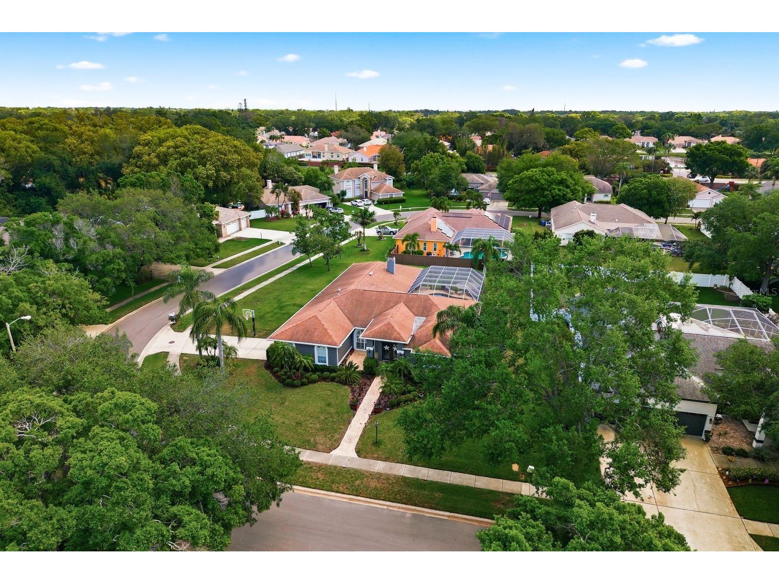 2016 Swan Lane Palm Harbor FL 34683 TB8493904 image65