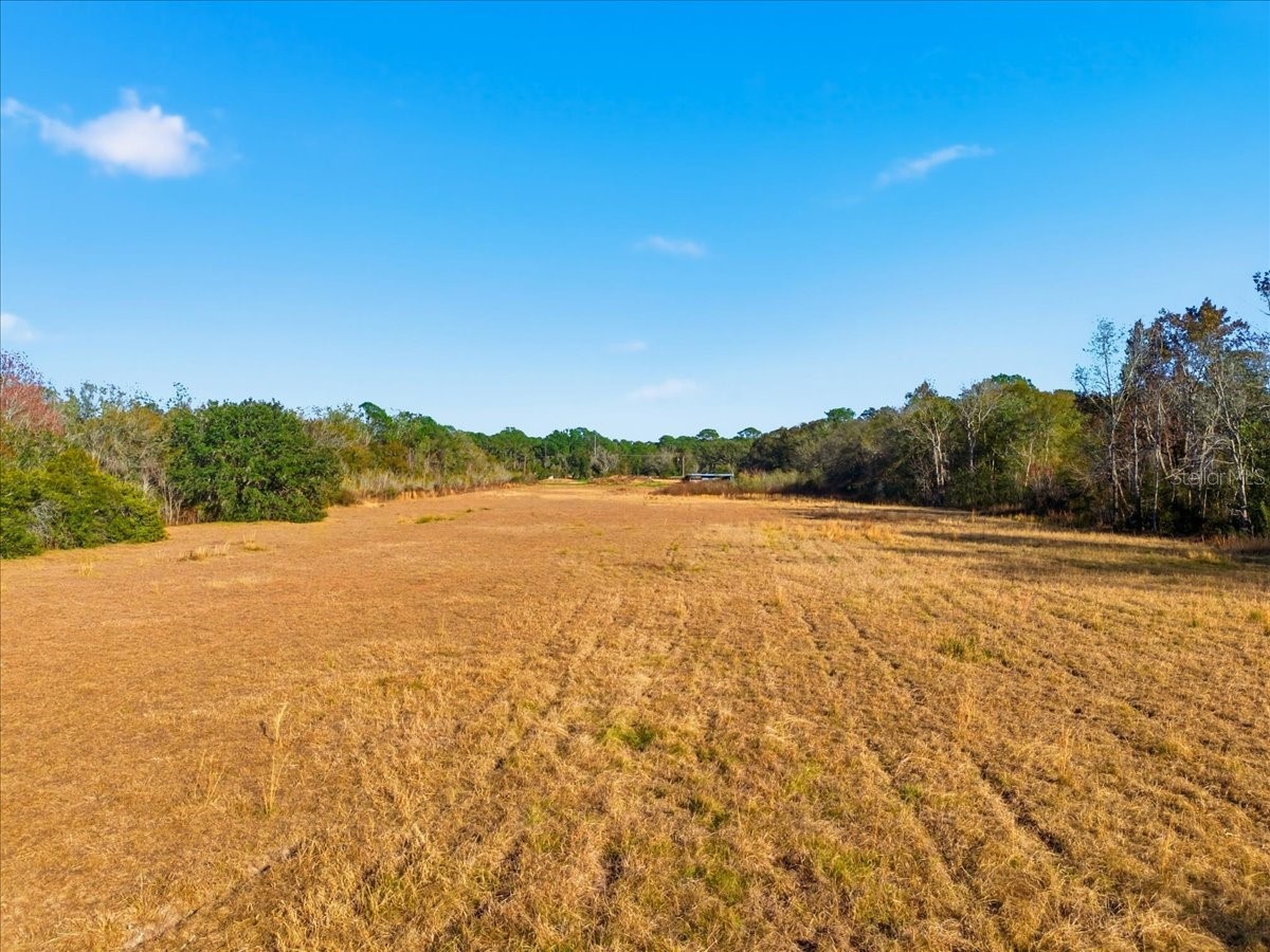 2016 Thornhill Road Auburndale FL 33823 L4959031 image4