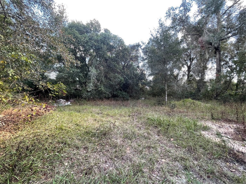 20160 SE 141st Street Umatilla FL 32784 O6364674 image14