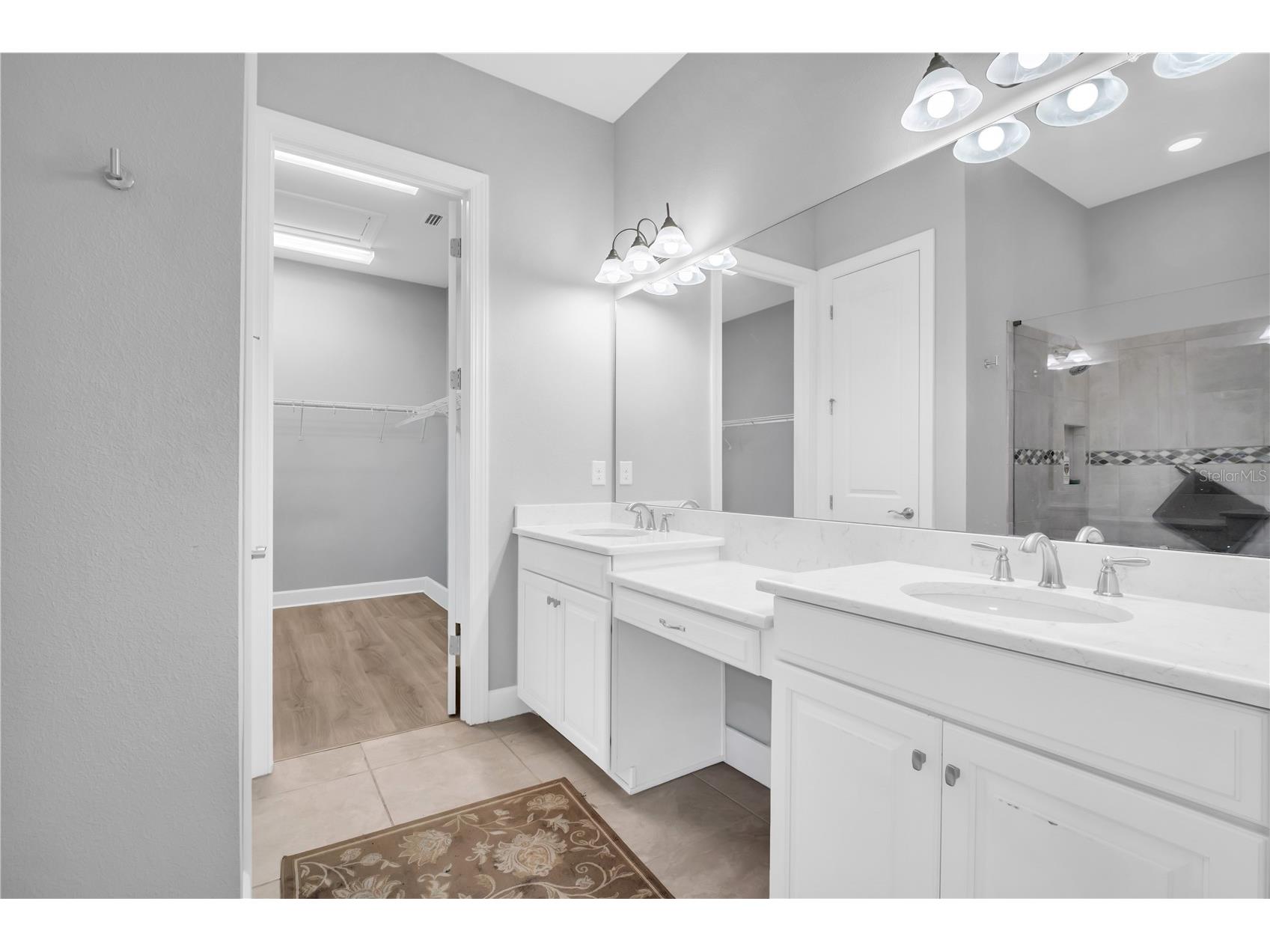 20161 Umbria Hill Drive Tampa FL 33647 TB8490012 image26