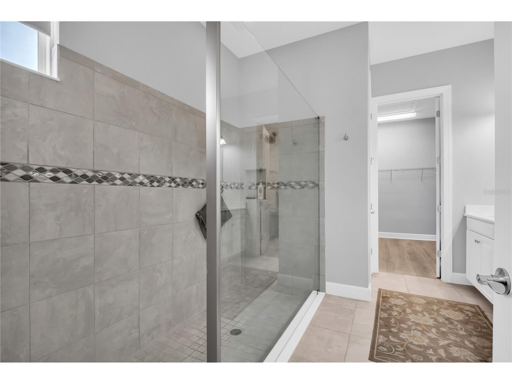 20161 Umbria Hill Drive Tampa FL 33647 TB8490012 image28