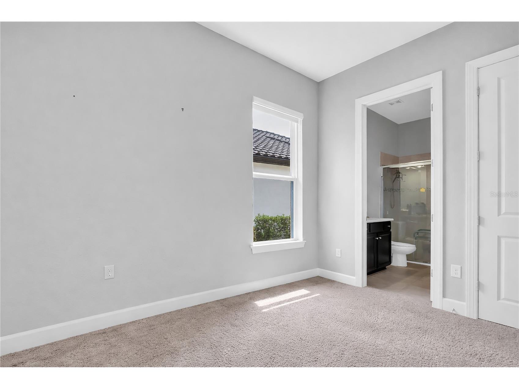 20161 Umbria Hill Drive Tampa FL 33647 TB8490012 image41
